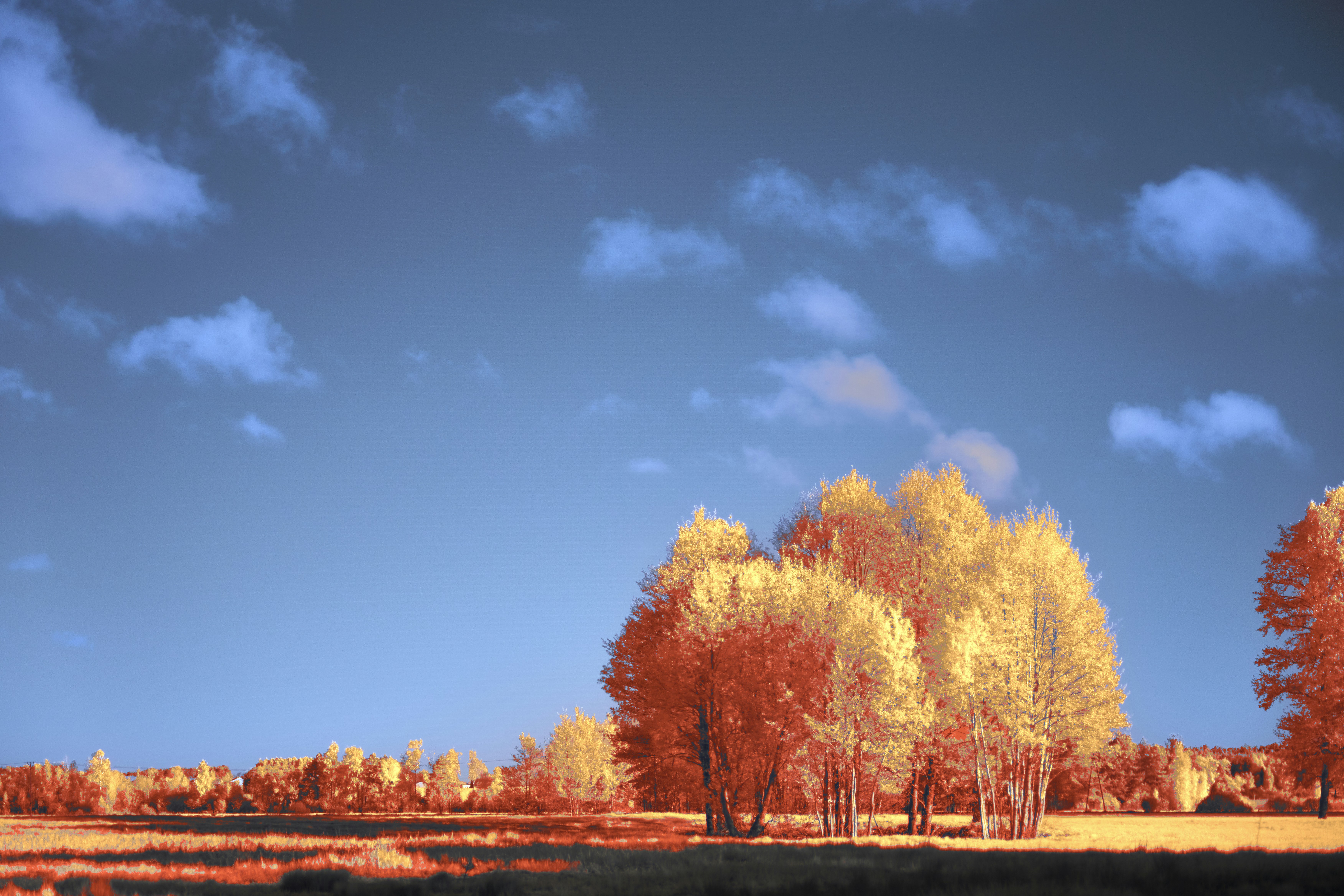 Photo by wolfgang_hasselmann