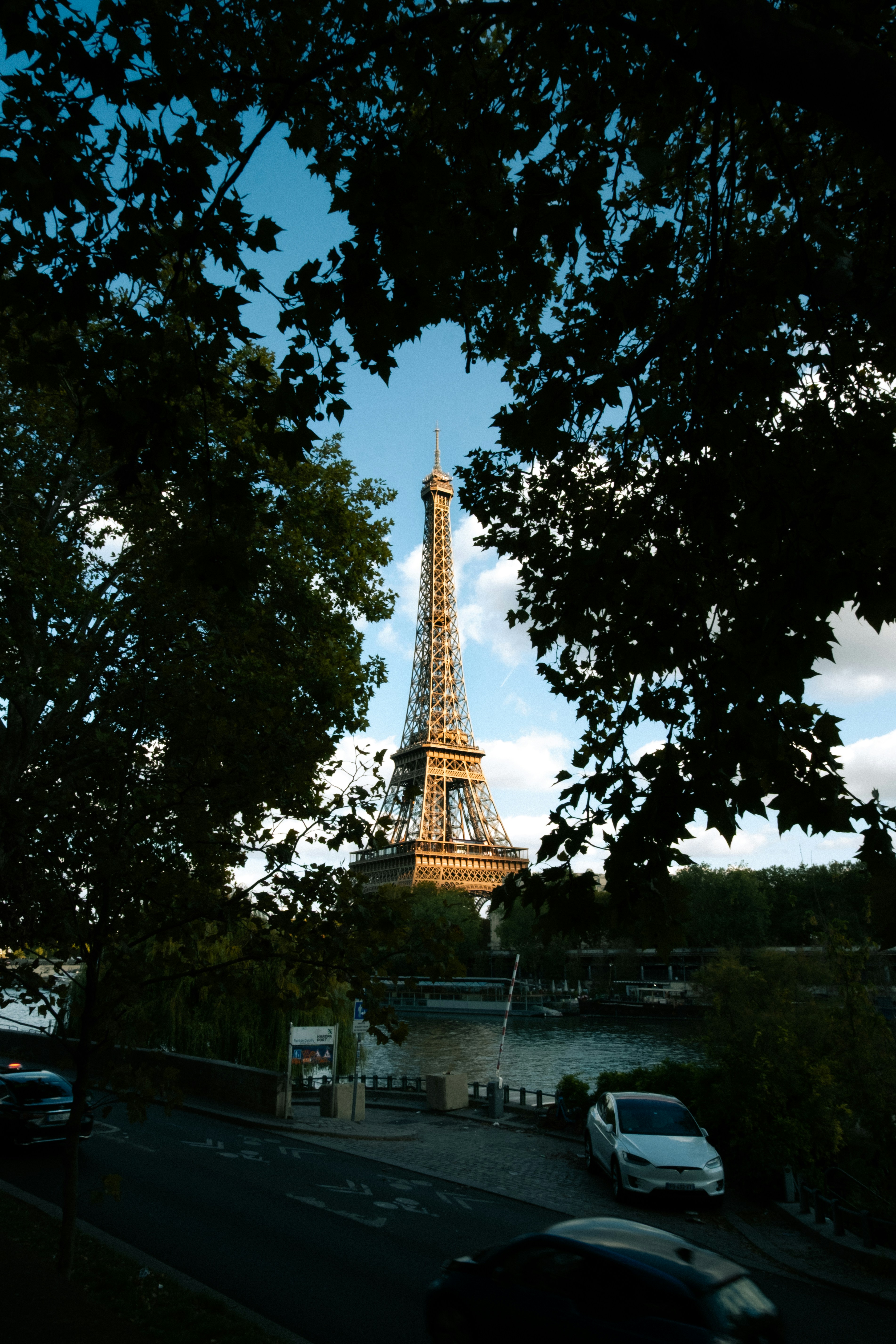 Eiffel tower seen through dark tree branches