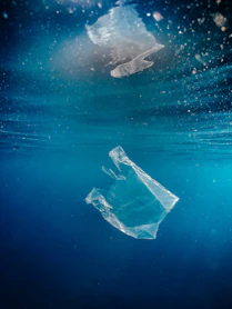 Plastic bag floating underwater in deep blue ocean