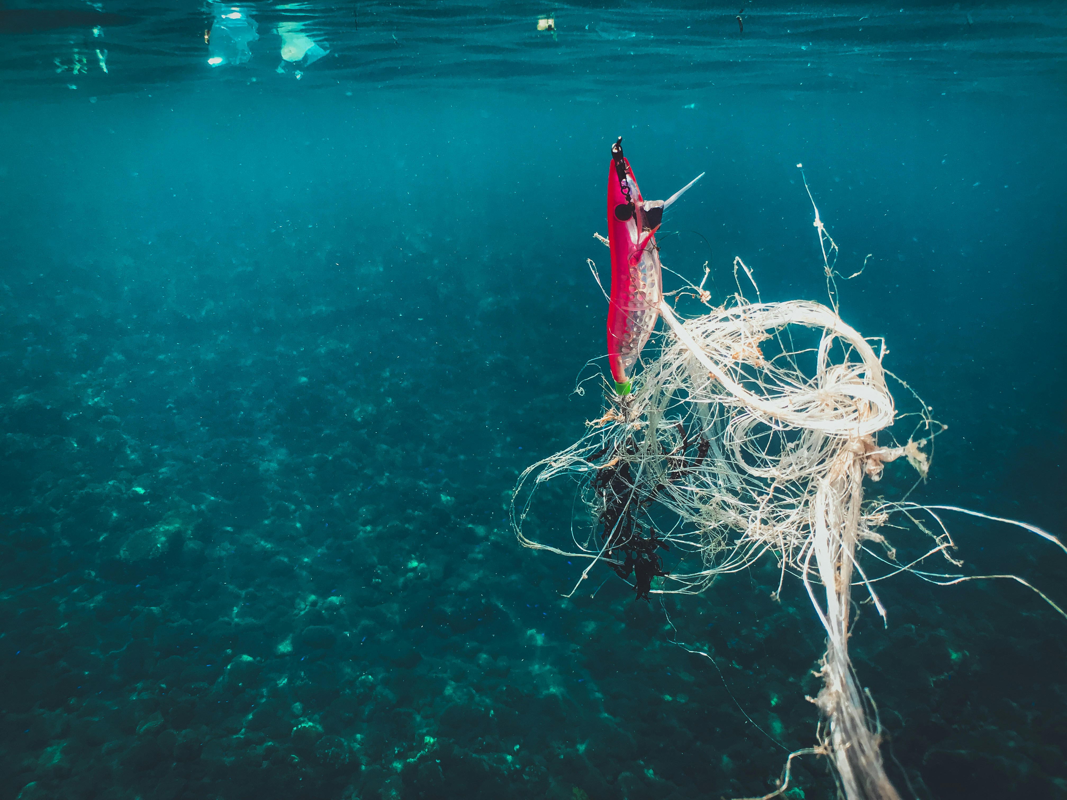 Señuelo de pesca enredado en desechos plásticos del océano