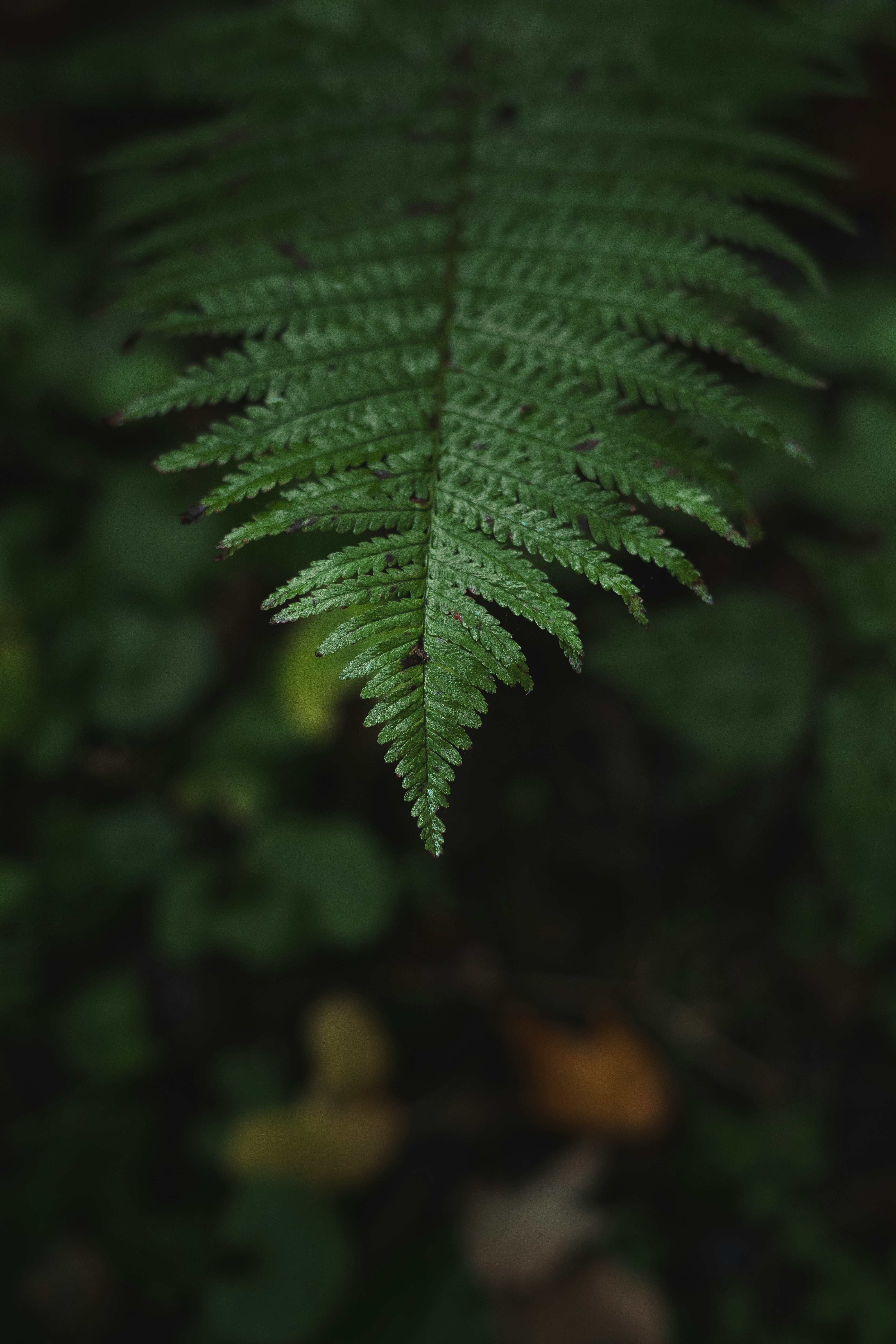 Photo by visualsbying