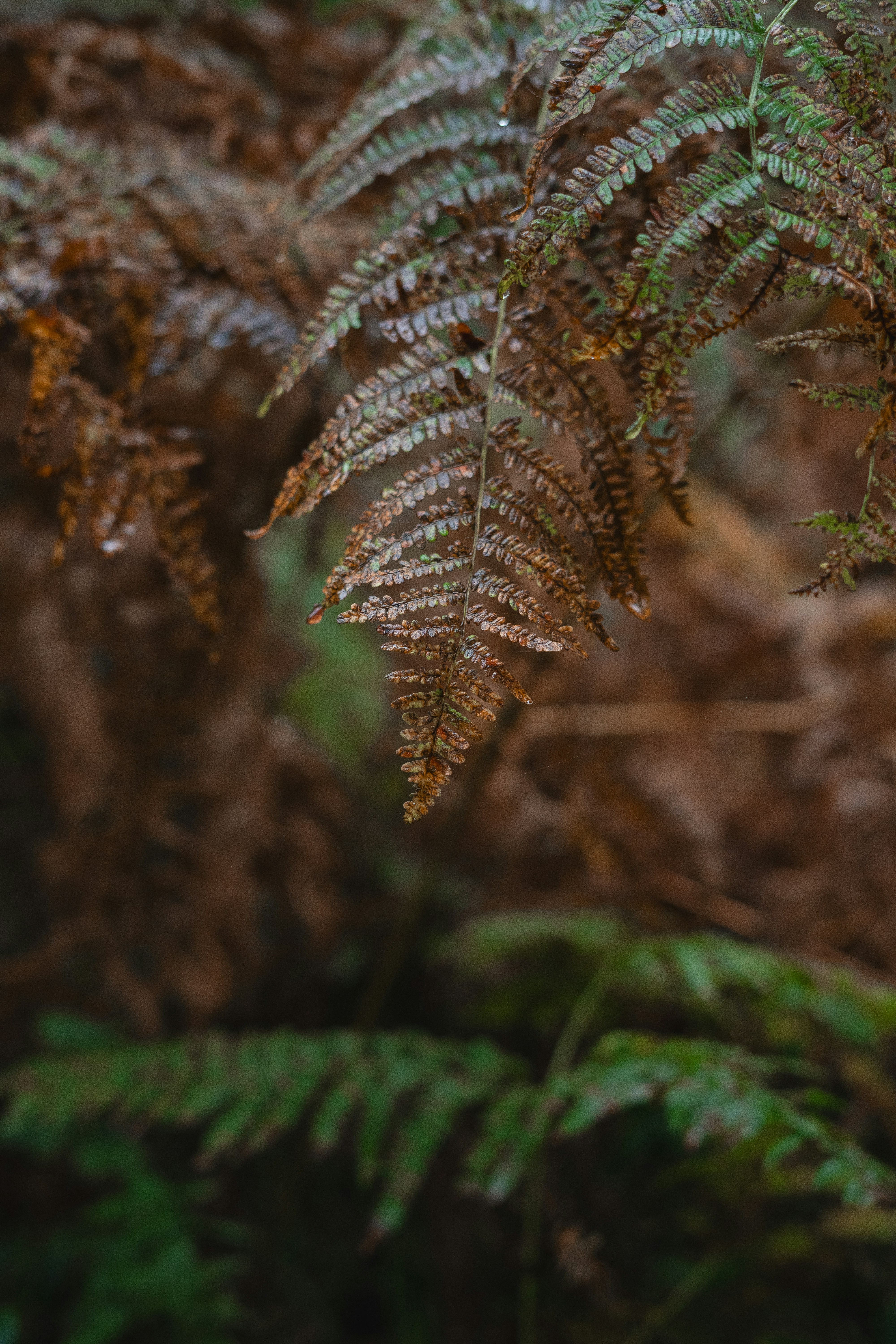 Photo by visualsbying