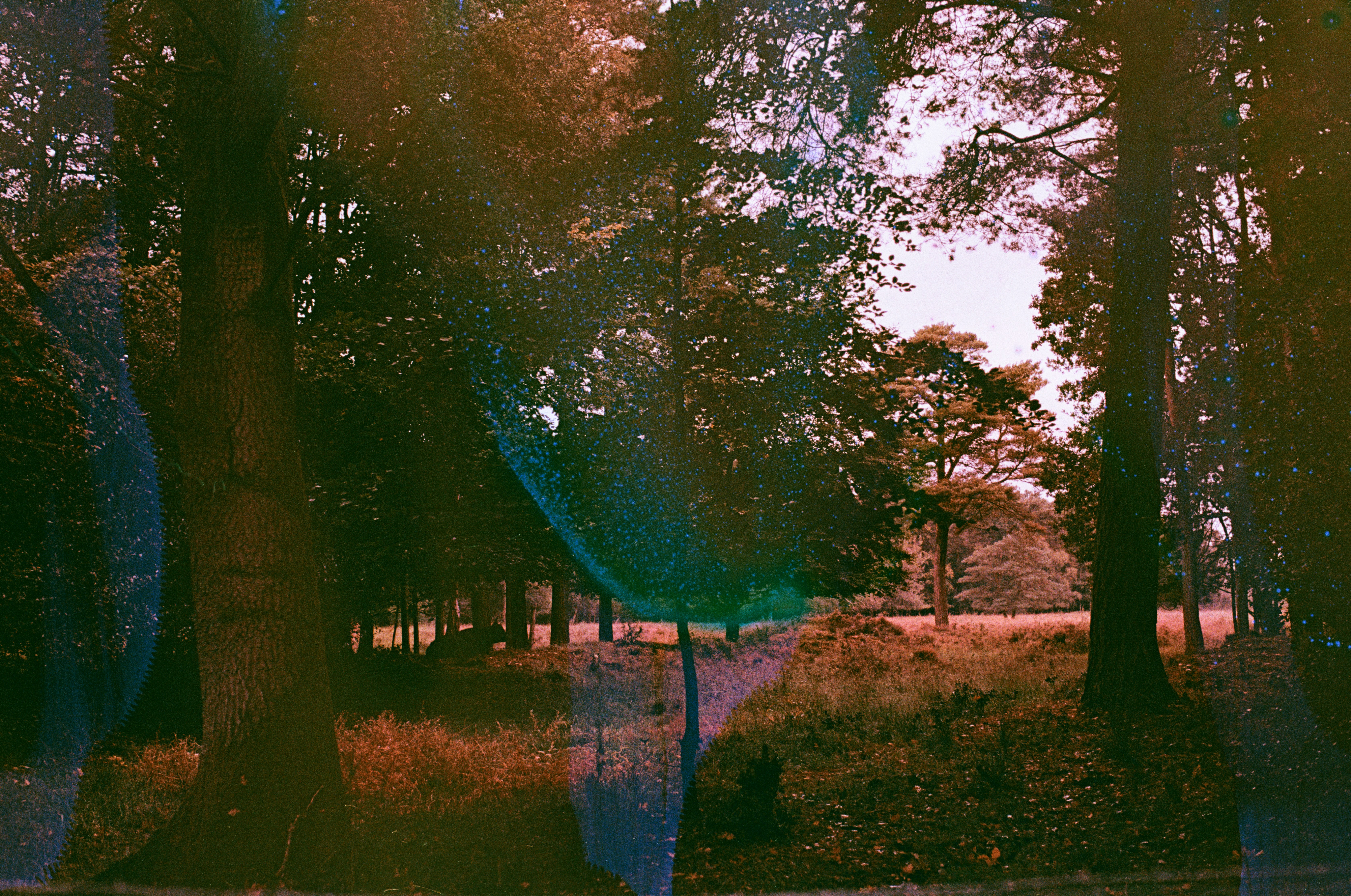 Photo by tanyabarrow