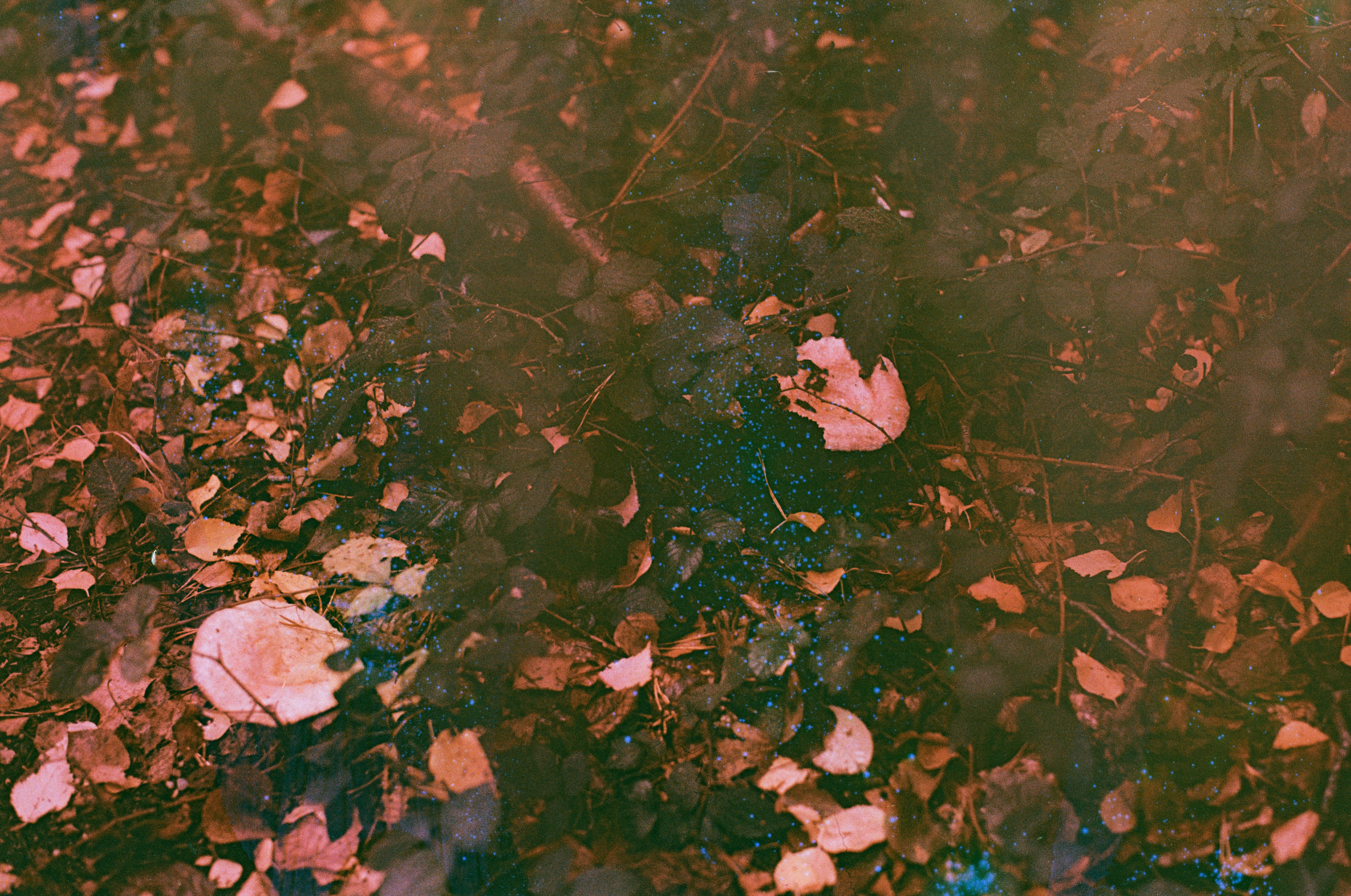 Photo by tanyabarrow