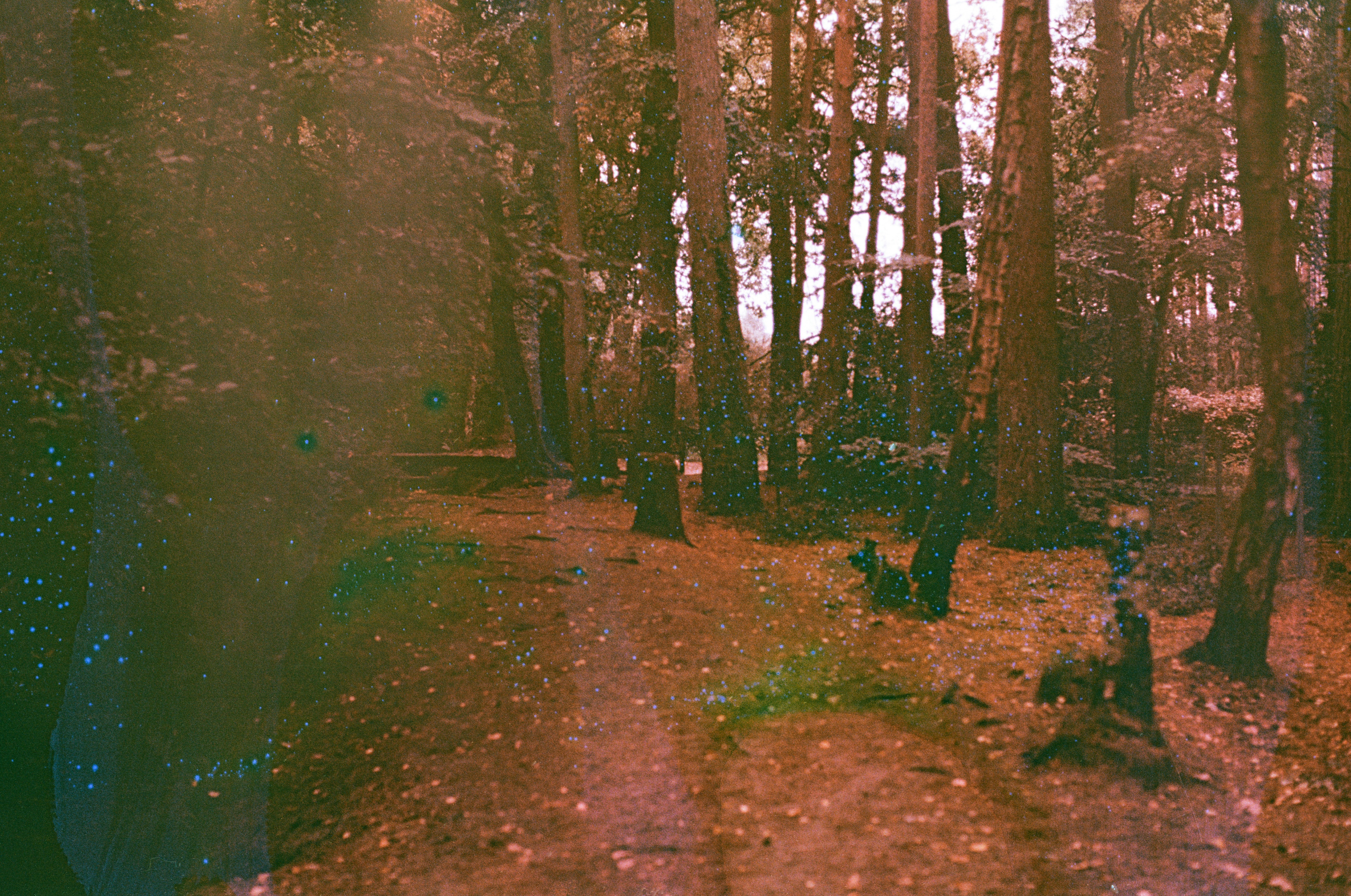 Photo by tanyabarrow