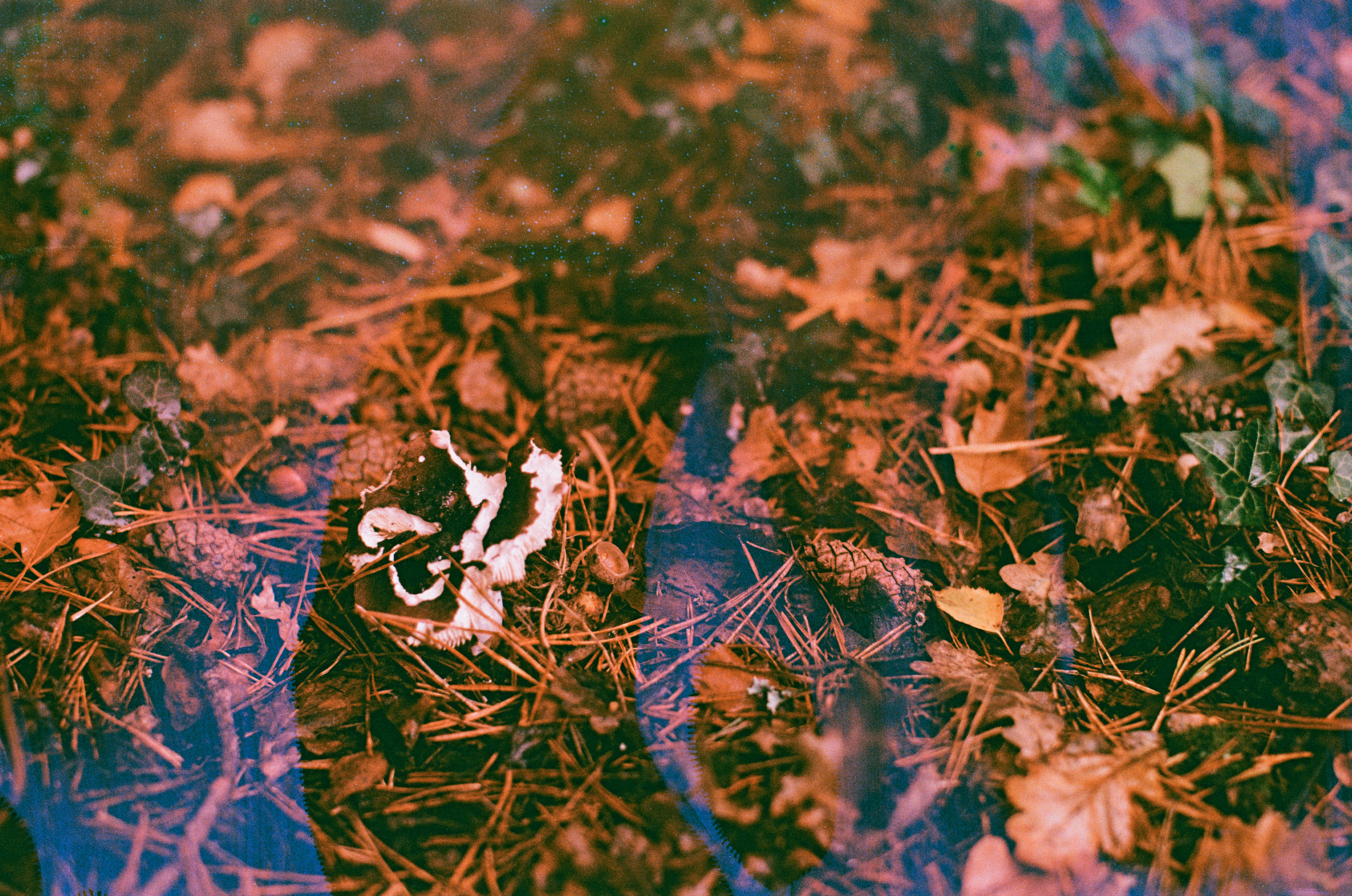 Photo by tanyabarrow