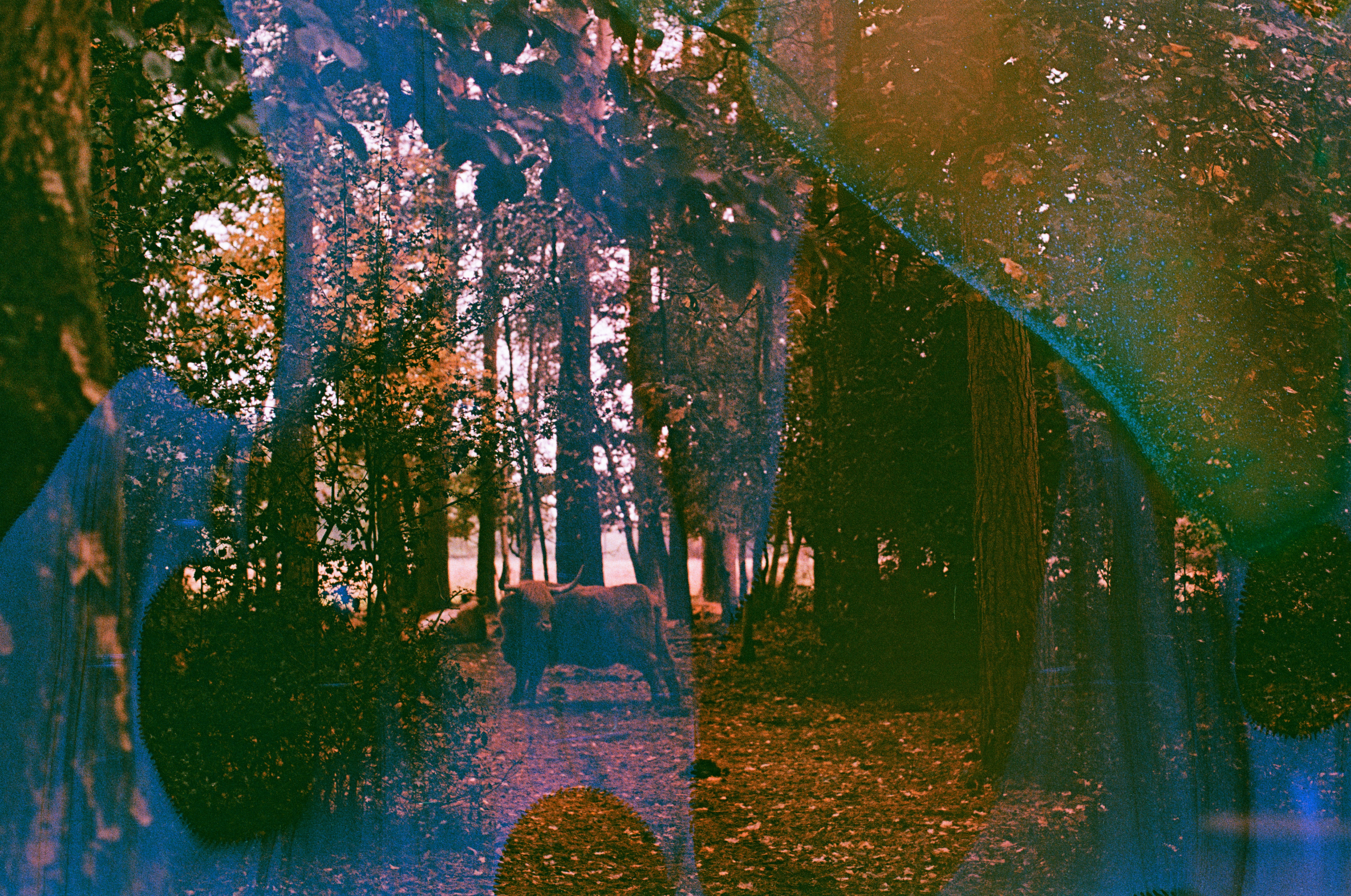 Photo by tanyabarrow