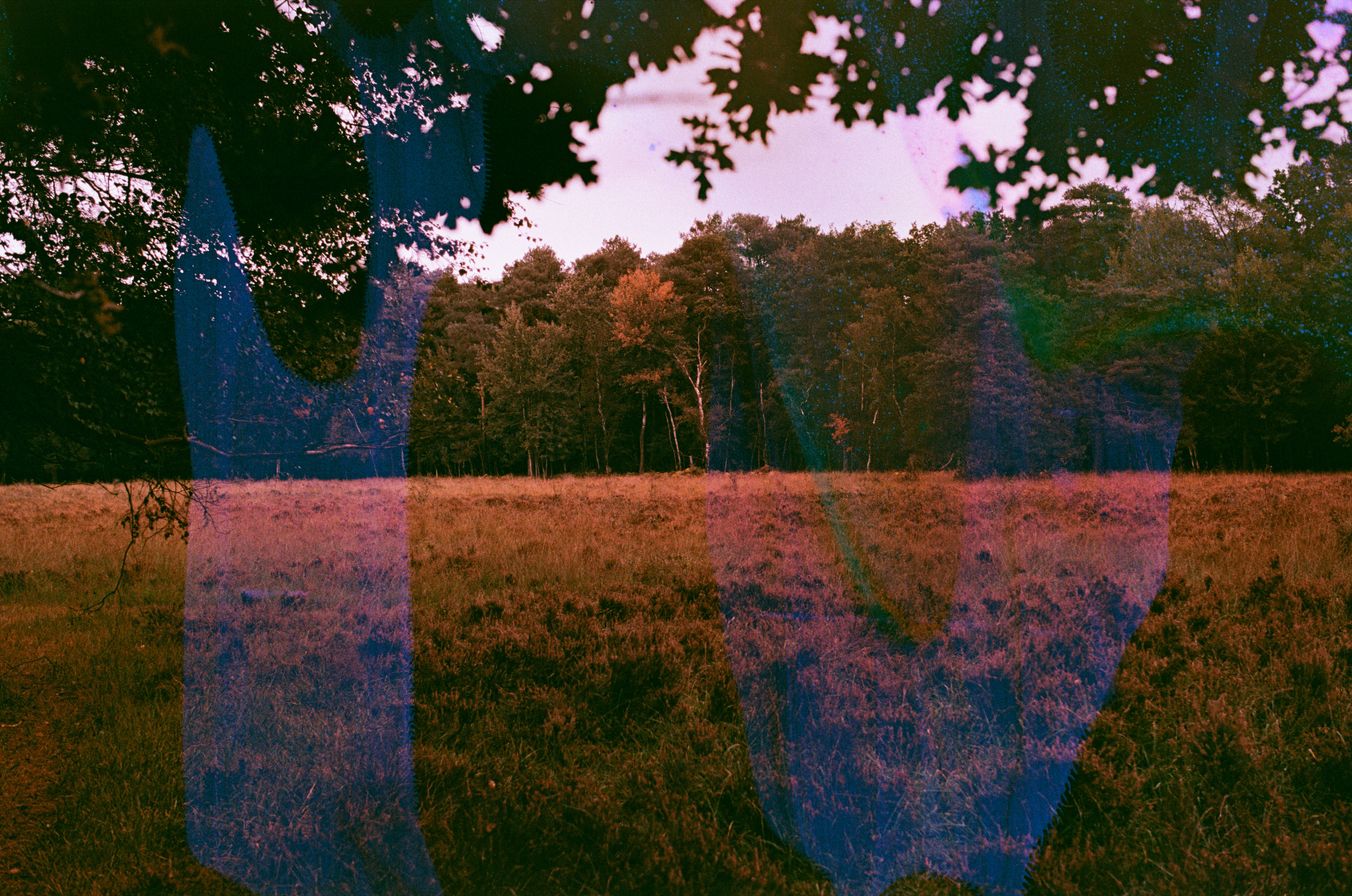 Photo by tanyabarrow