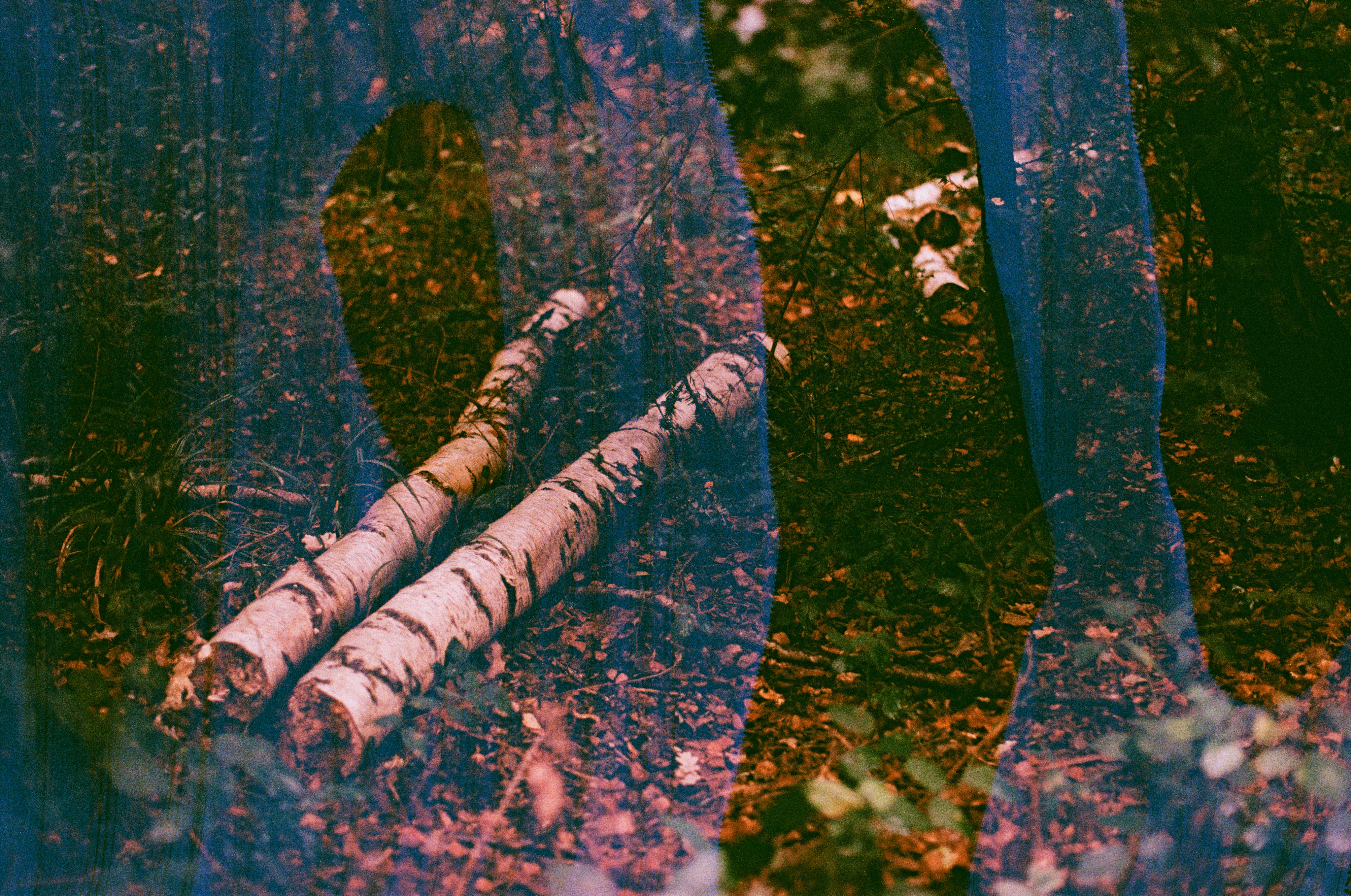 Photo by tanyabarrow