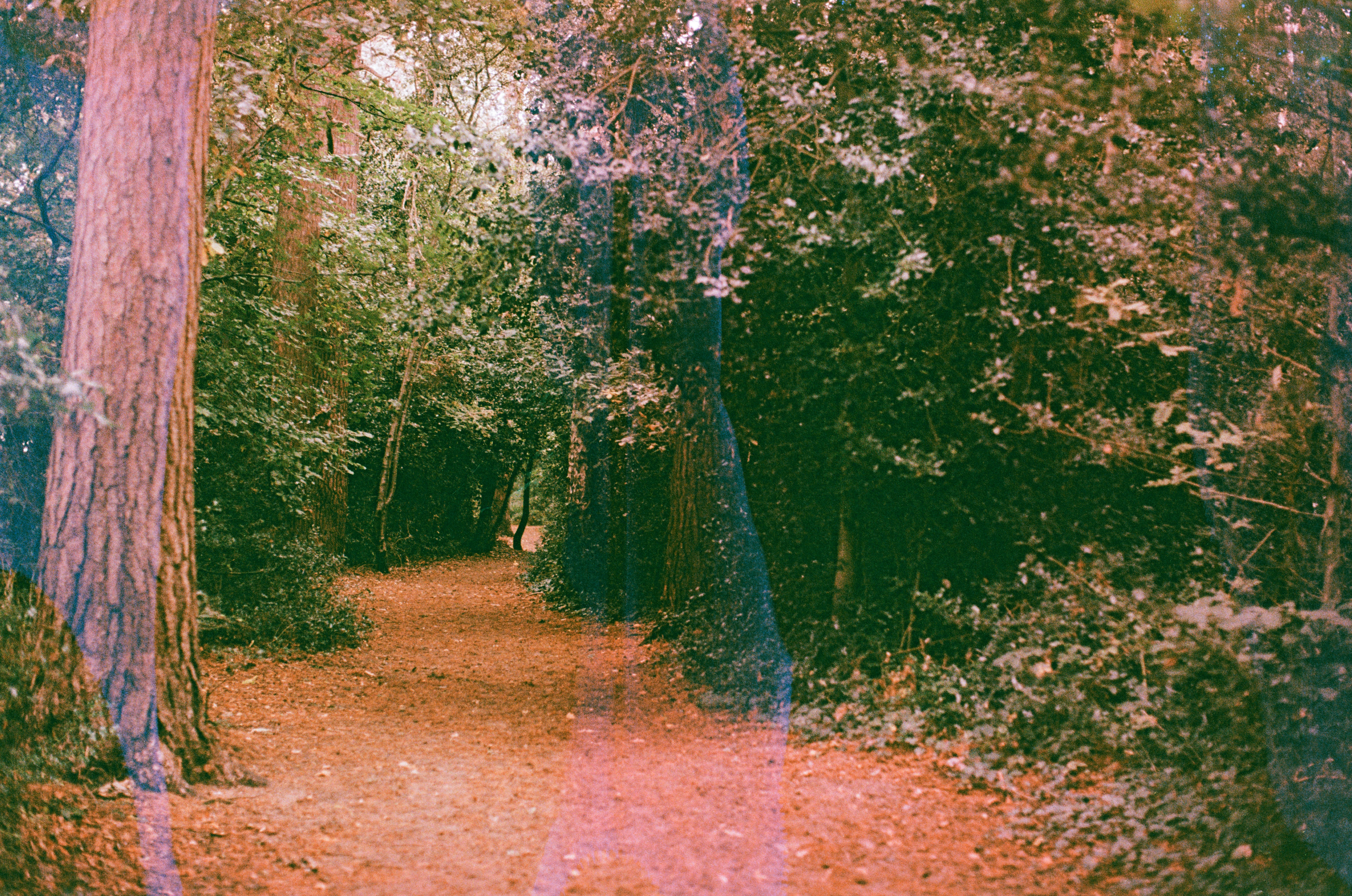 Photo by tanyabarrow