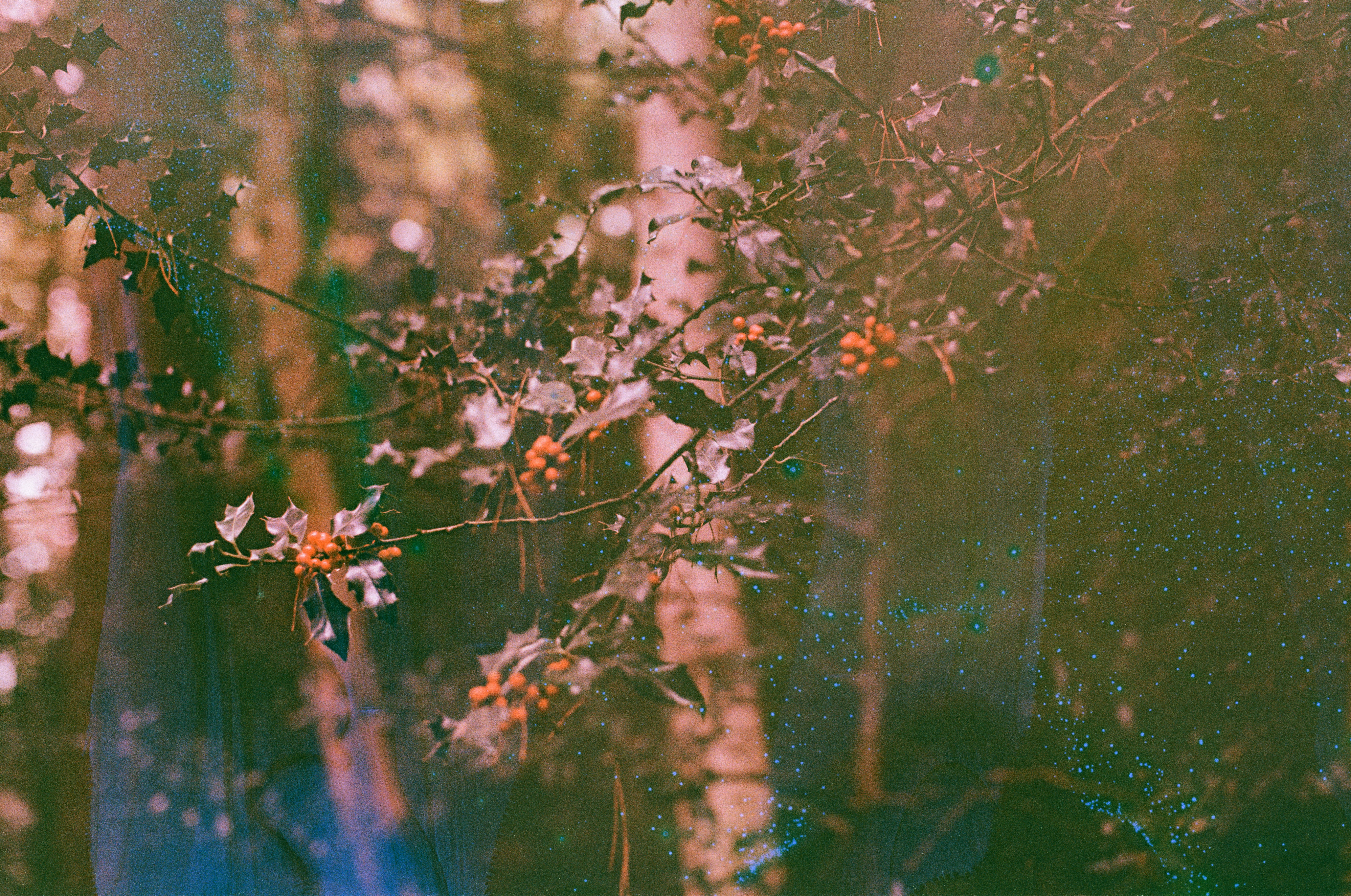 Photo by tanyabarrow