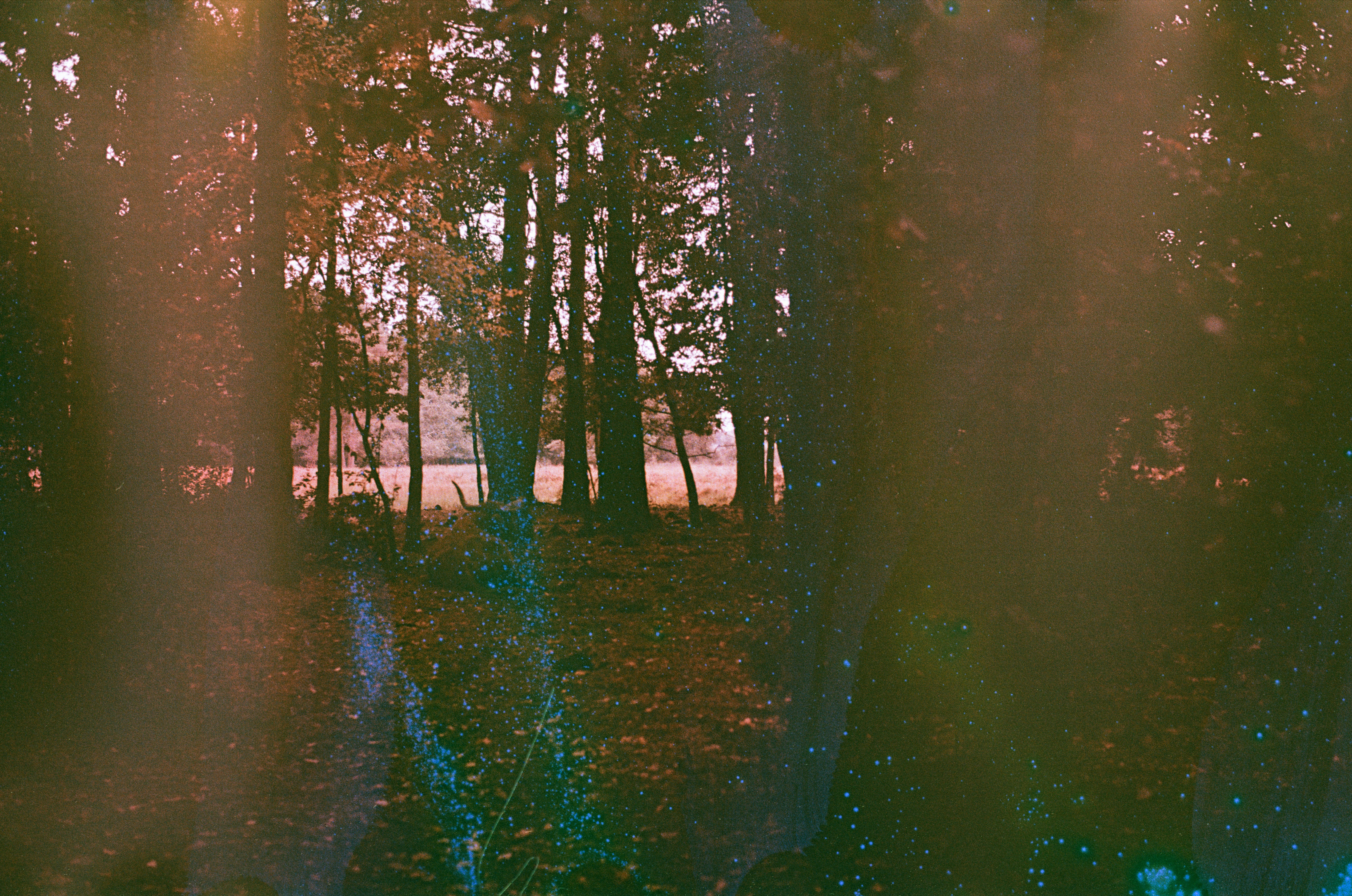 Photo by tanyabarrow