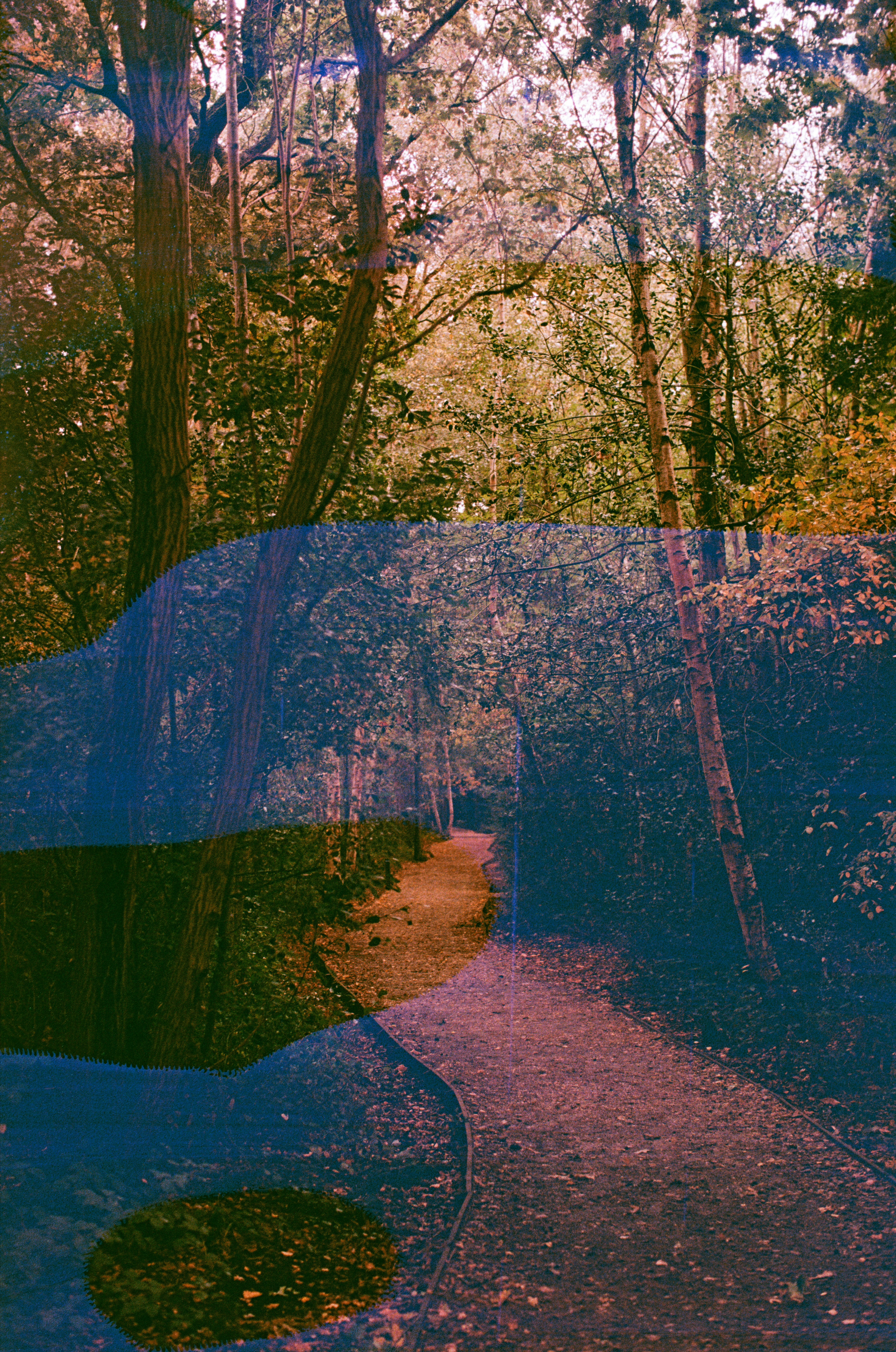 Photo by tanyabarrow