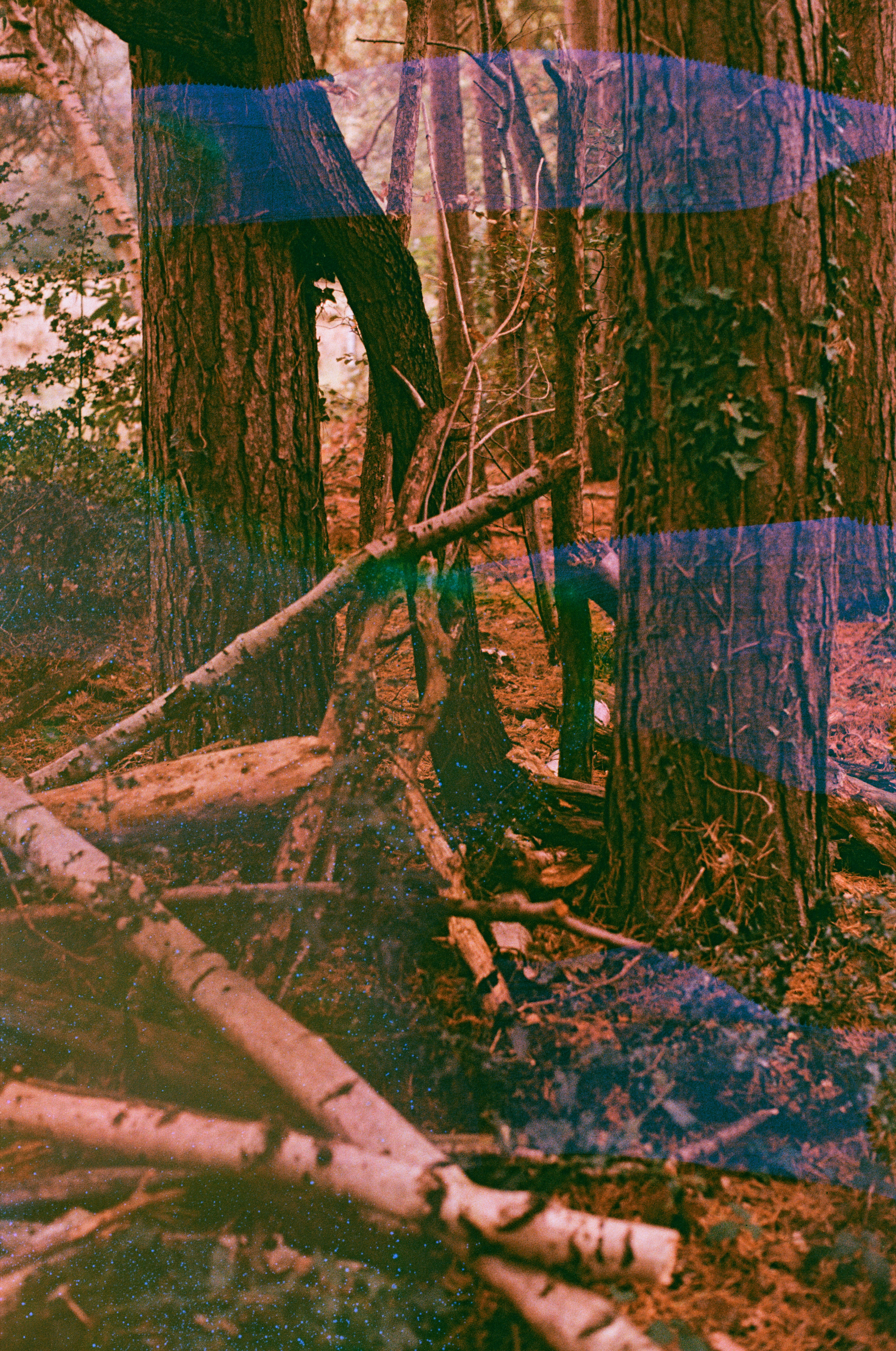 Photo by tanyabarrow