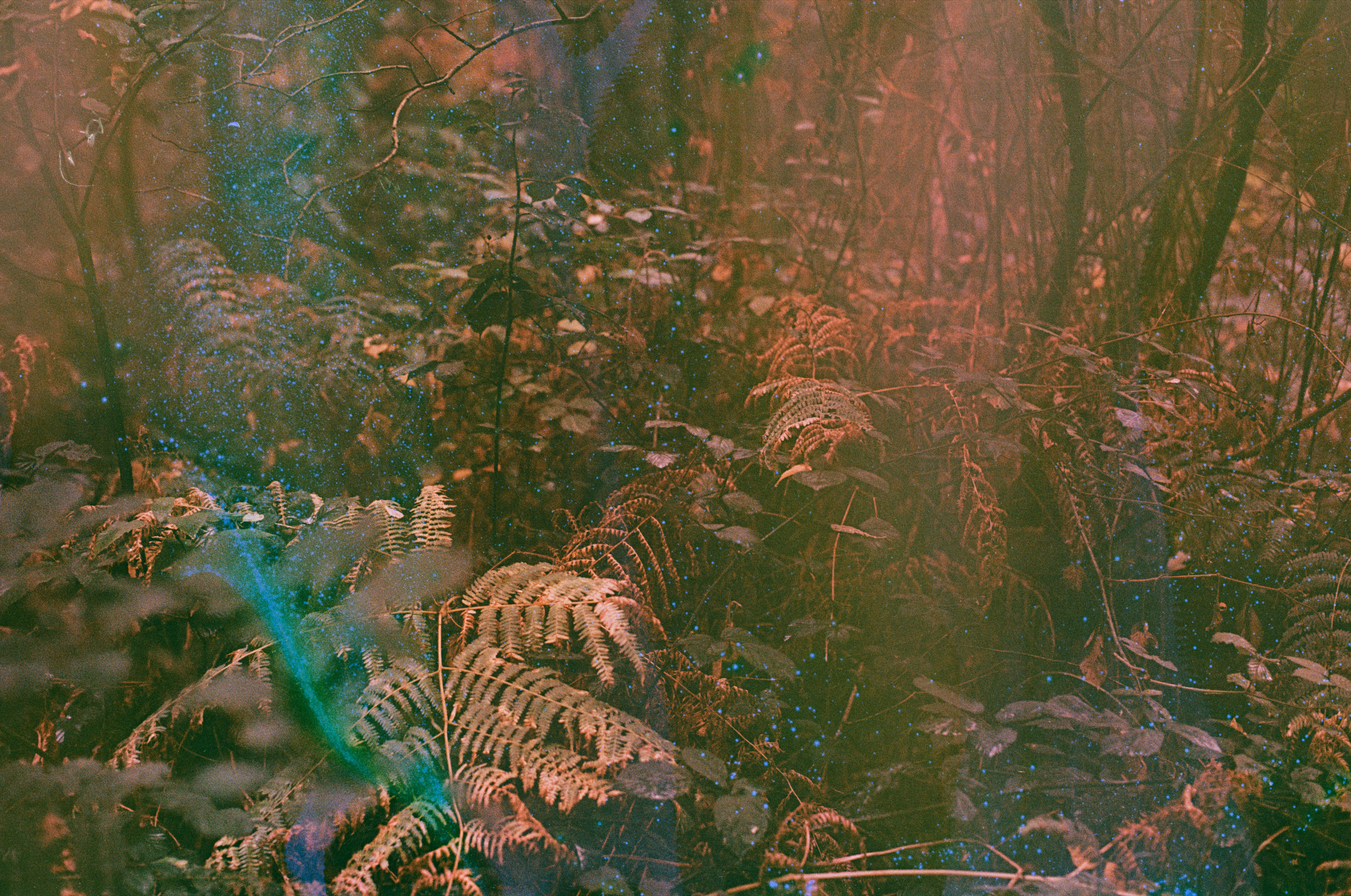 Photo by tanyabarrow