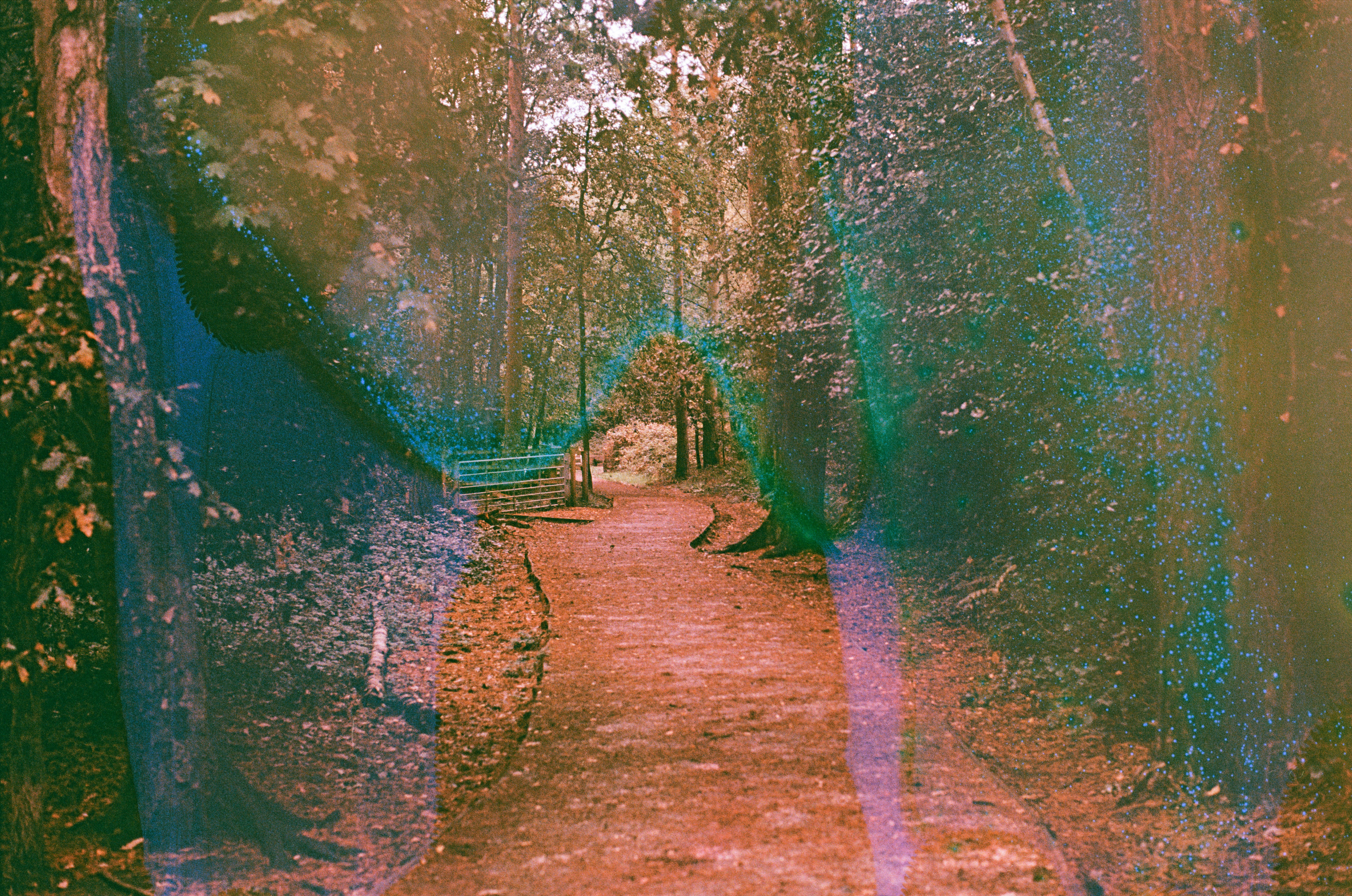 Photo by tanyabarrow