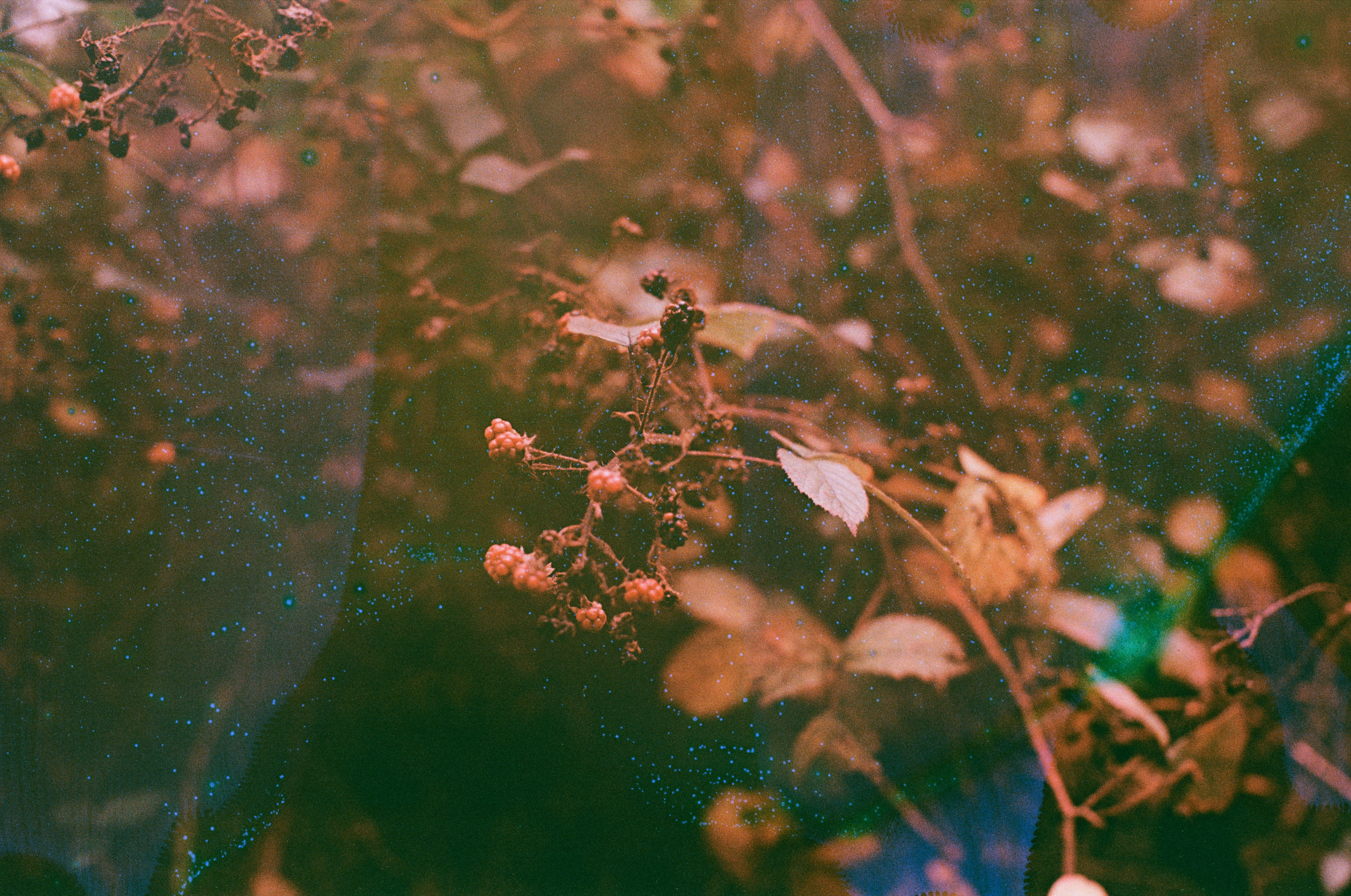 Photo by tanyabarrow