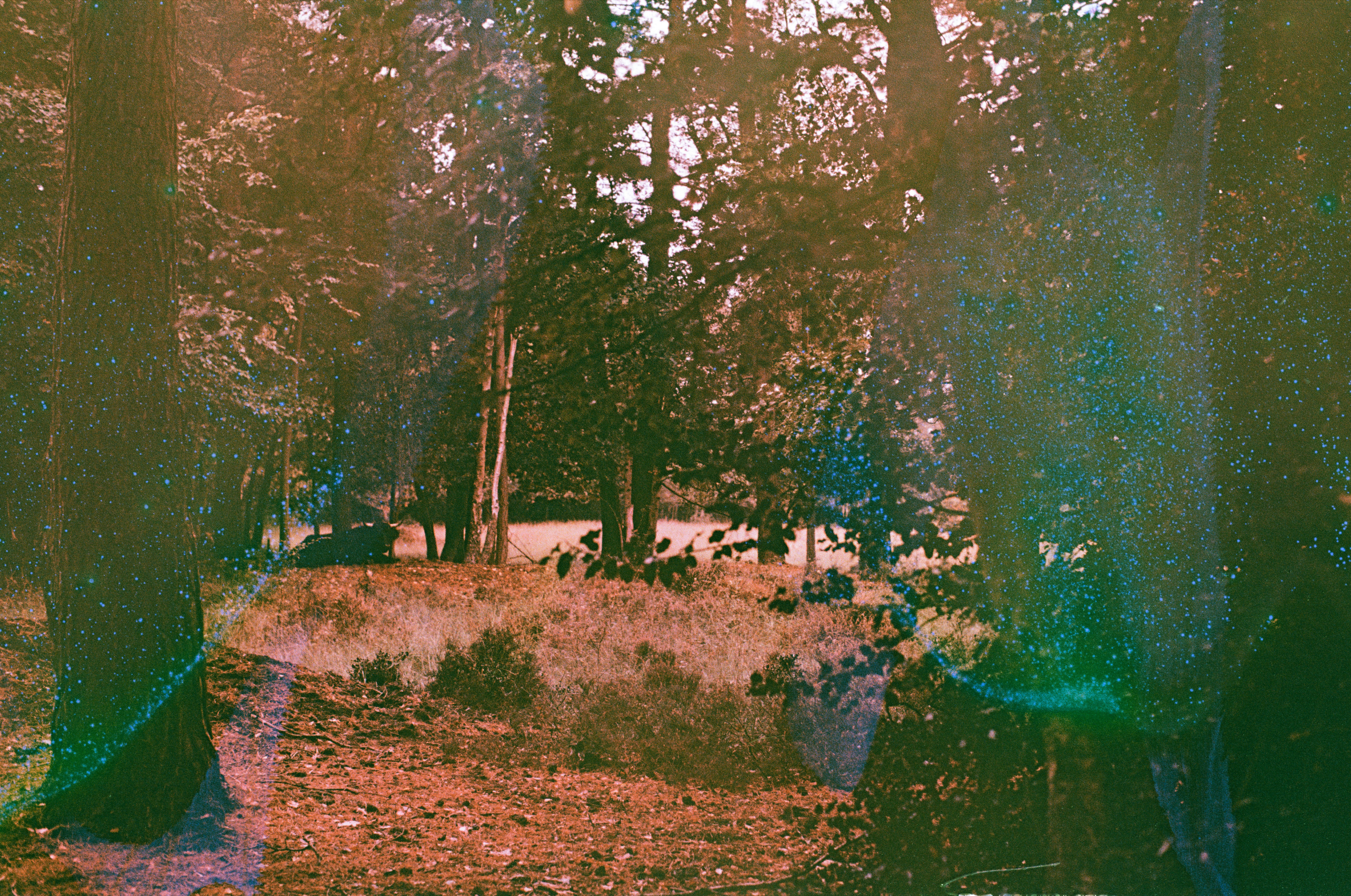 Photo by tanyabarrow