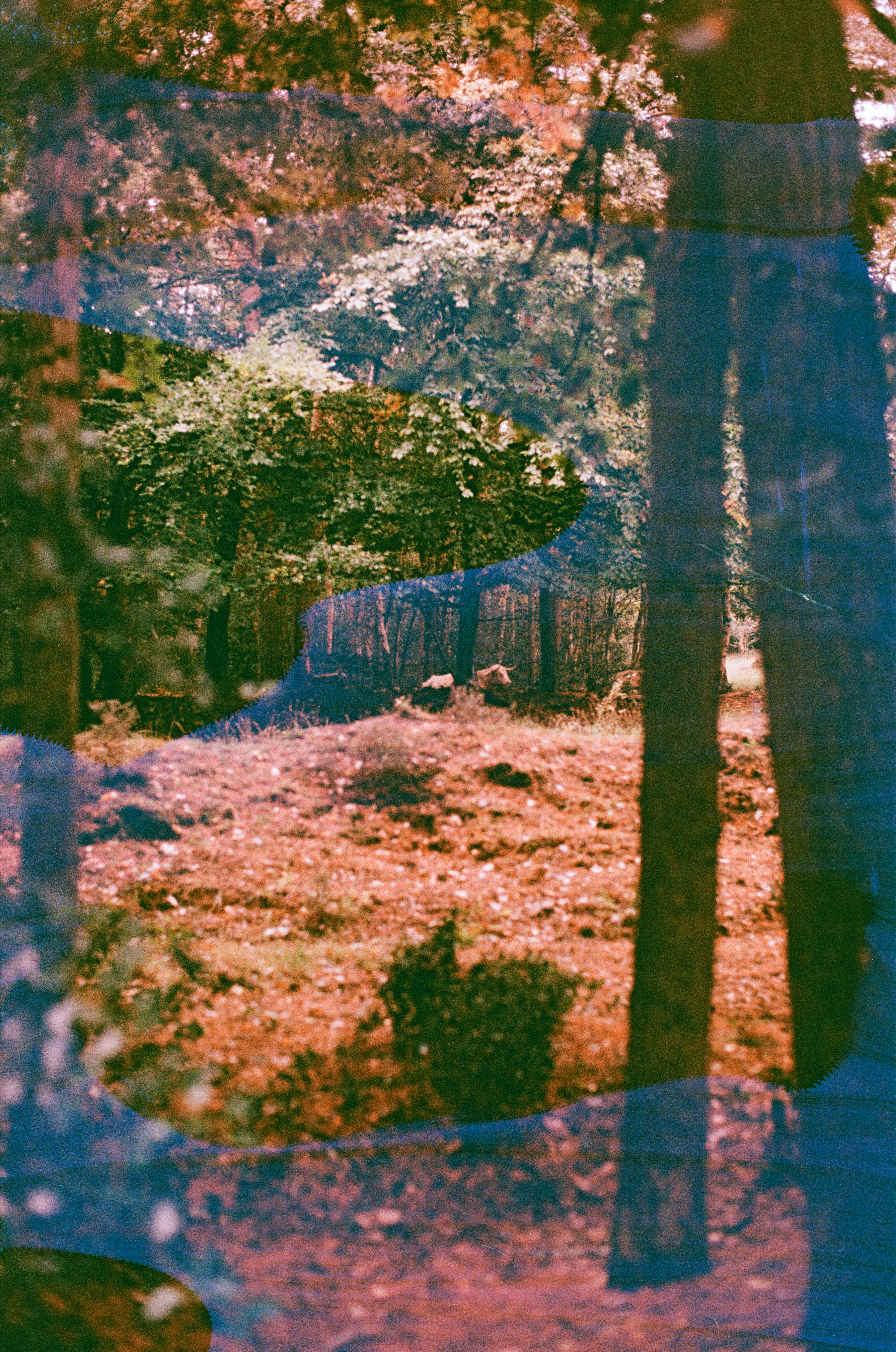 Photo by tanyabarrow