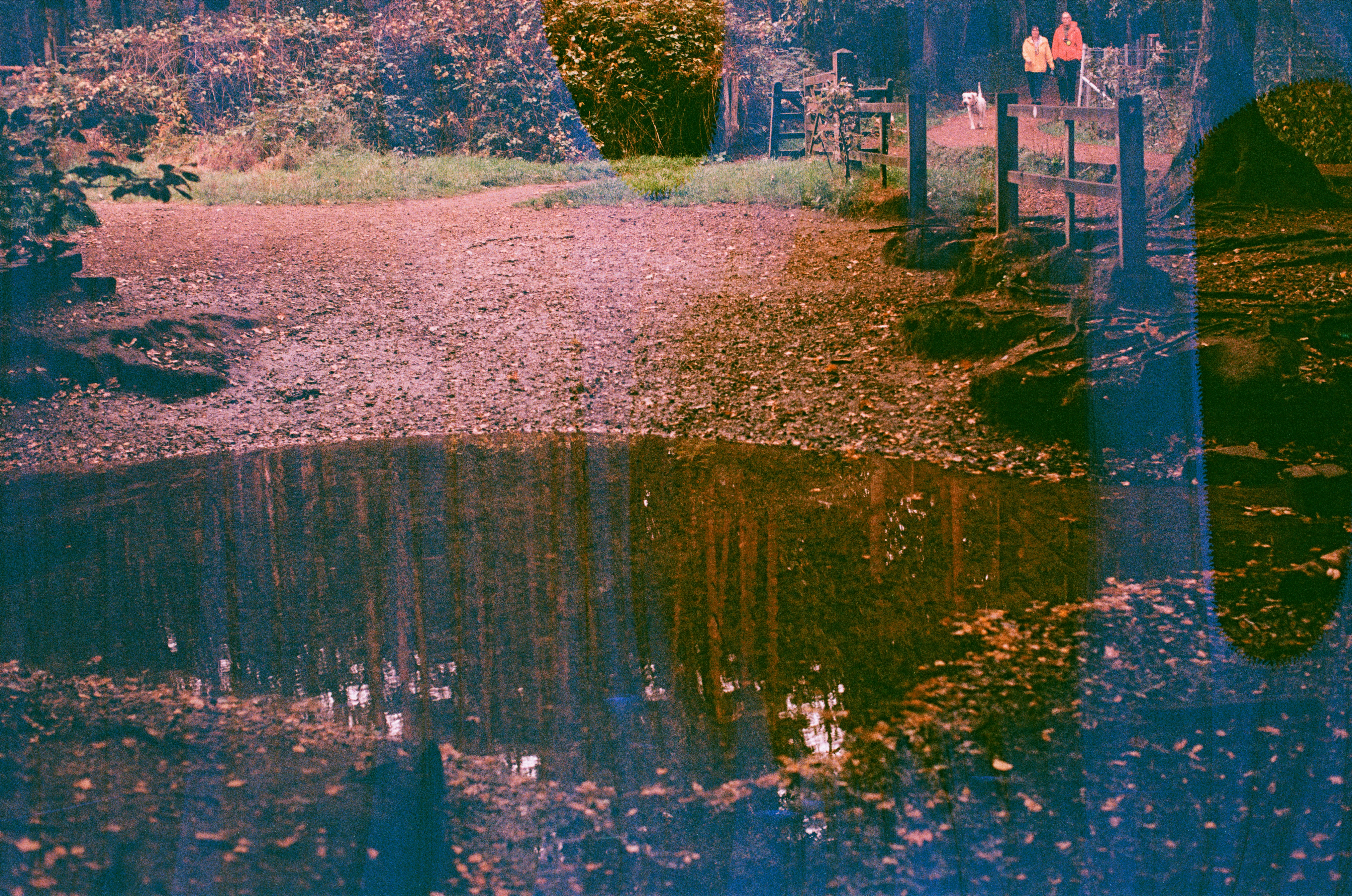 Photo by tanyabarrow