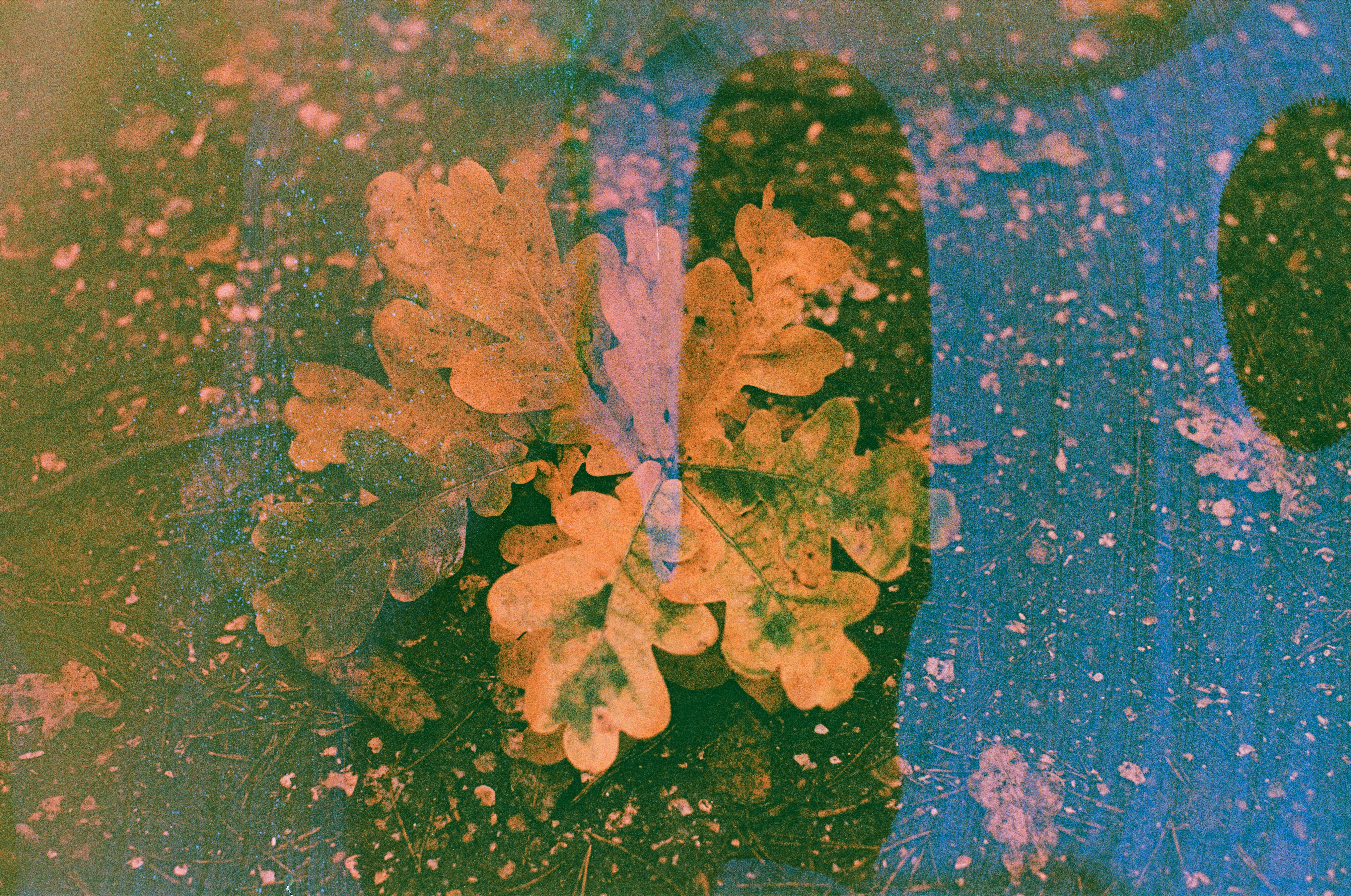 Photo by tanyabarrow