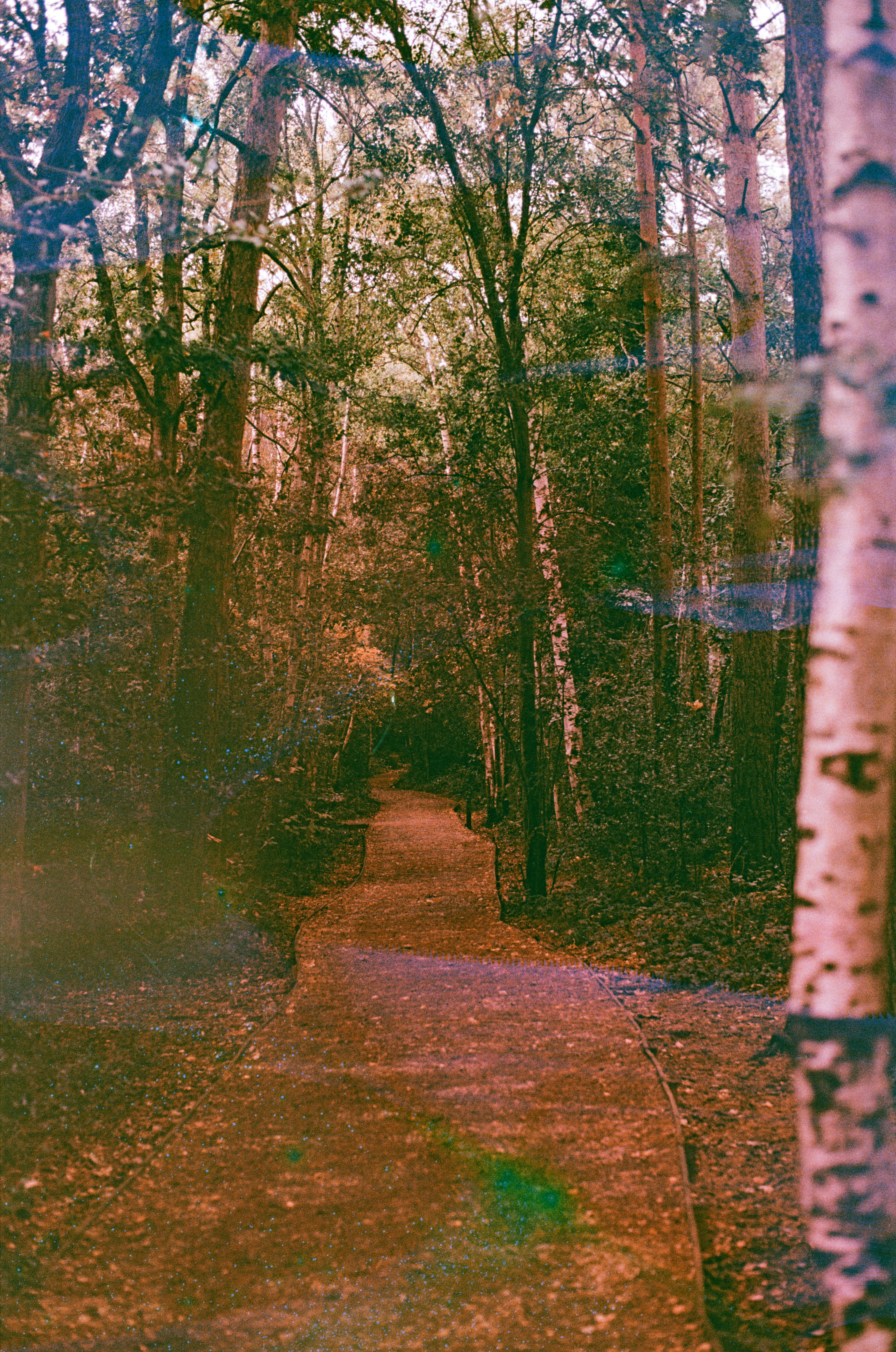 Photo by tanyabarrow