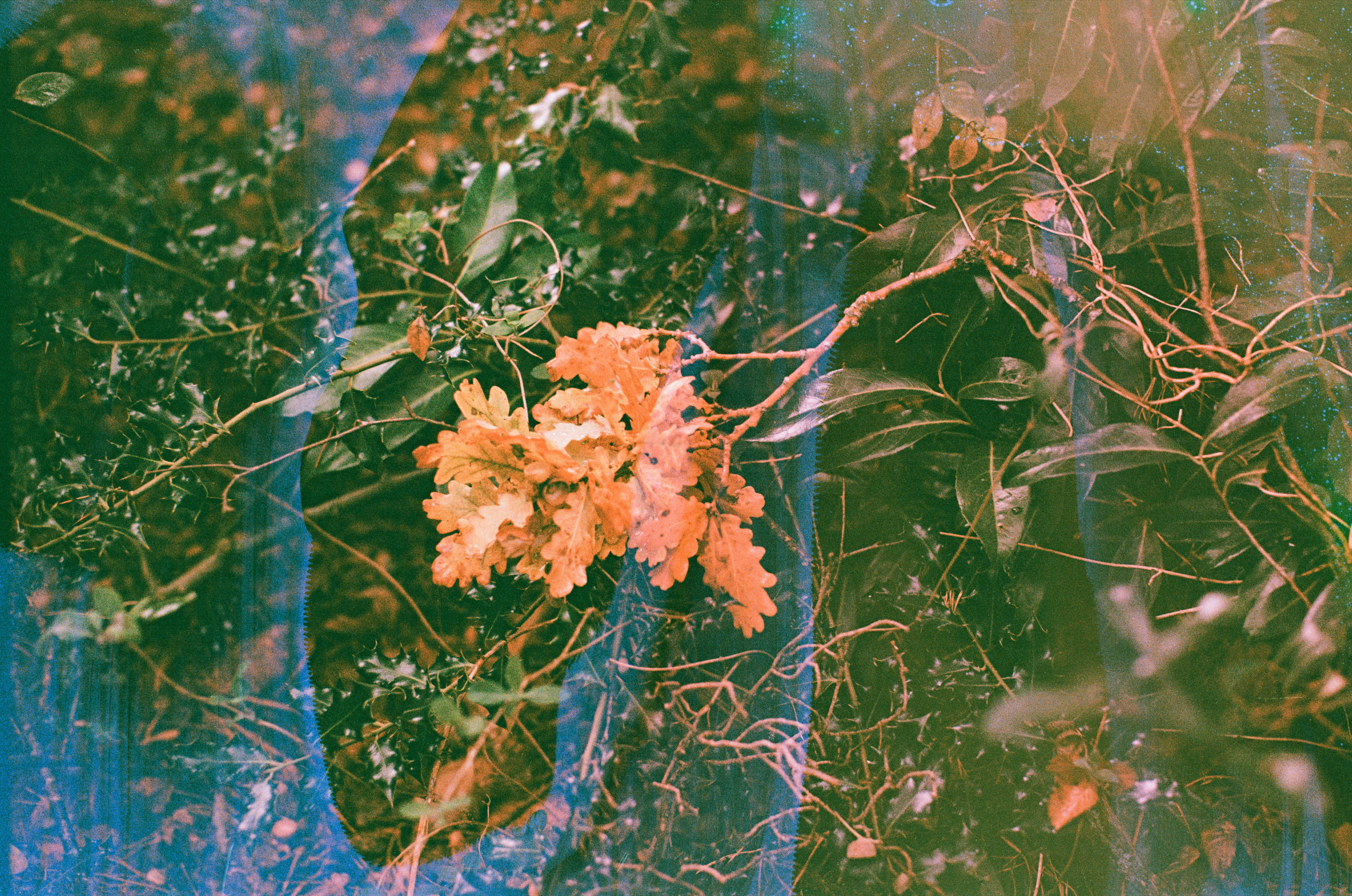 Photo by tanyabarrow