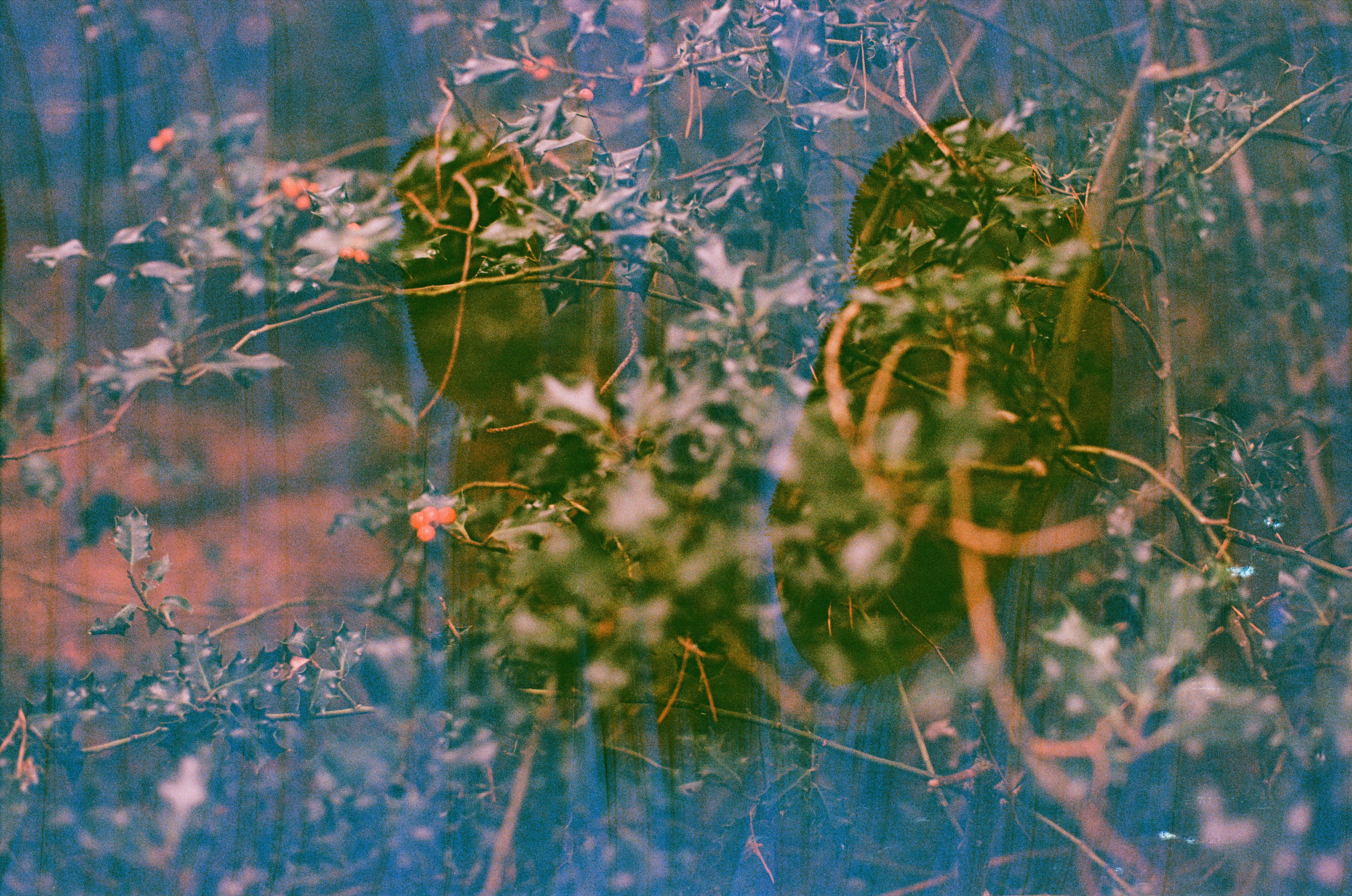 Photo by tanyabarrow