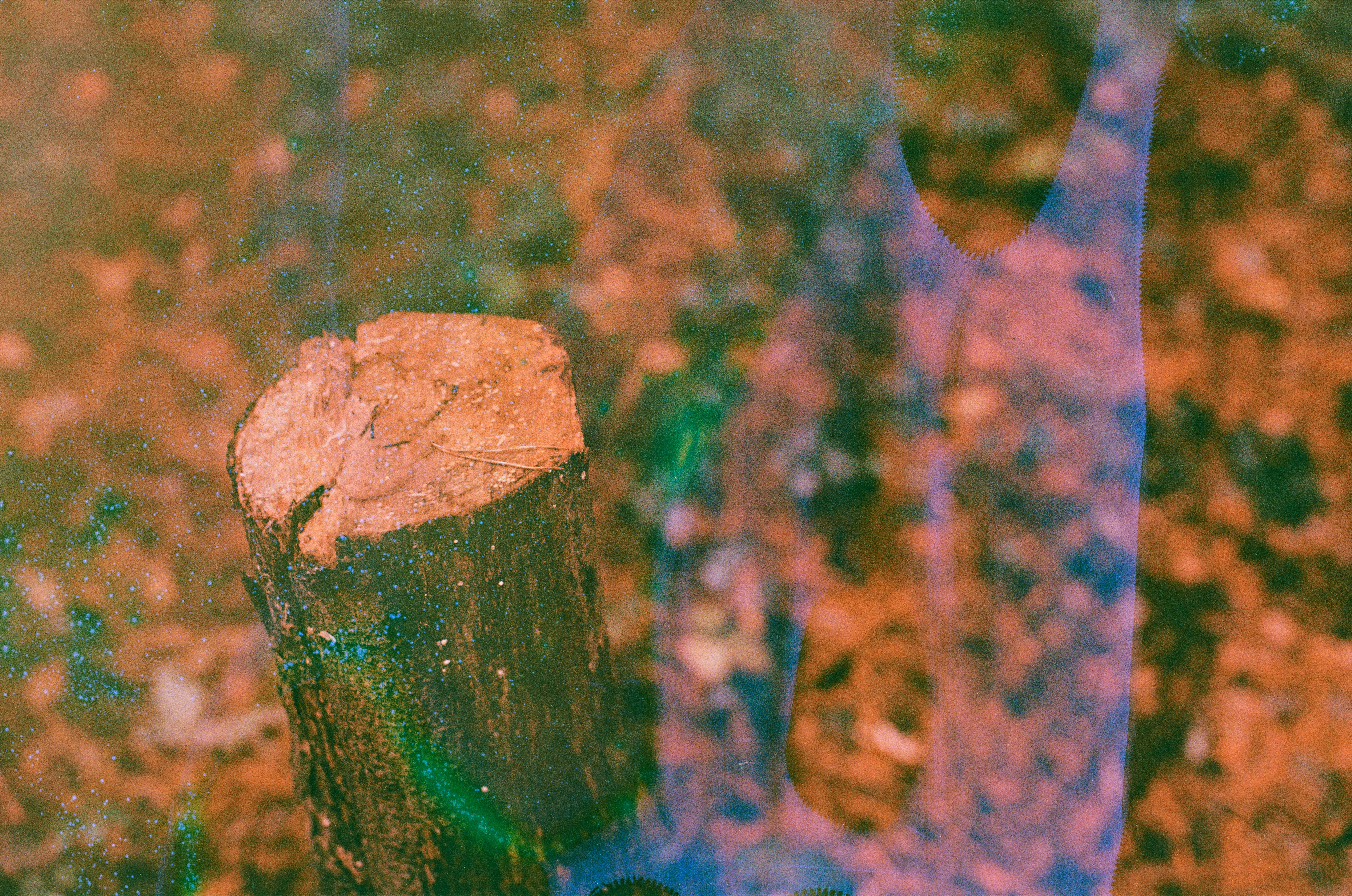 Photo by tanyabarrow