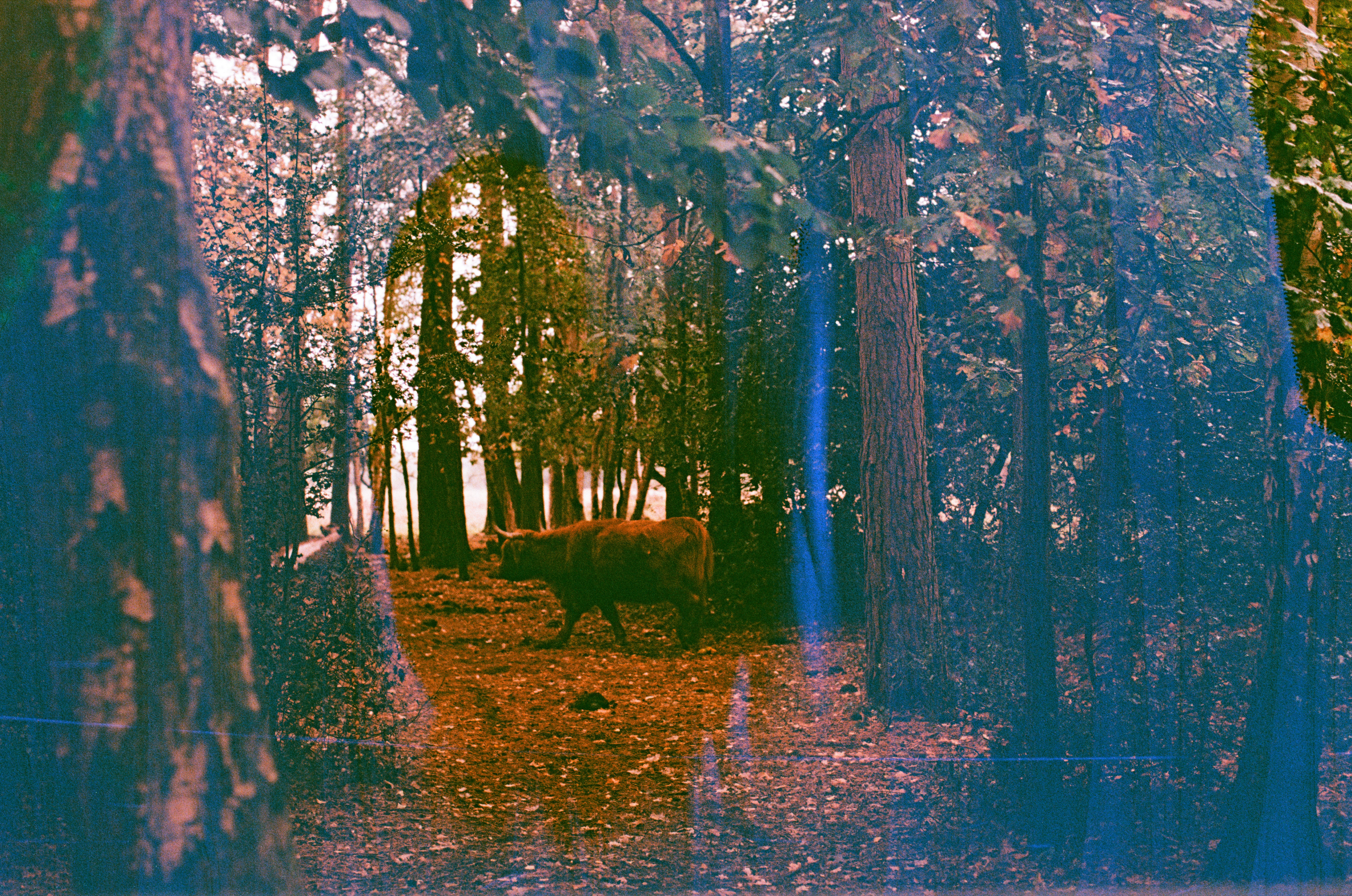 Photo by tanyabarrow