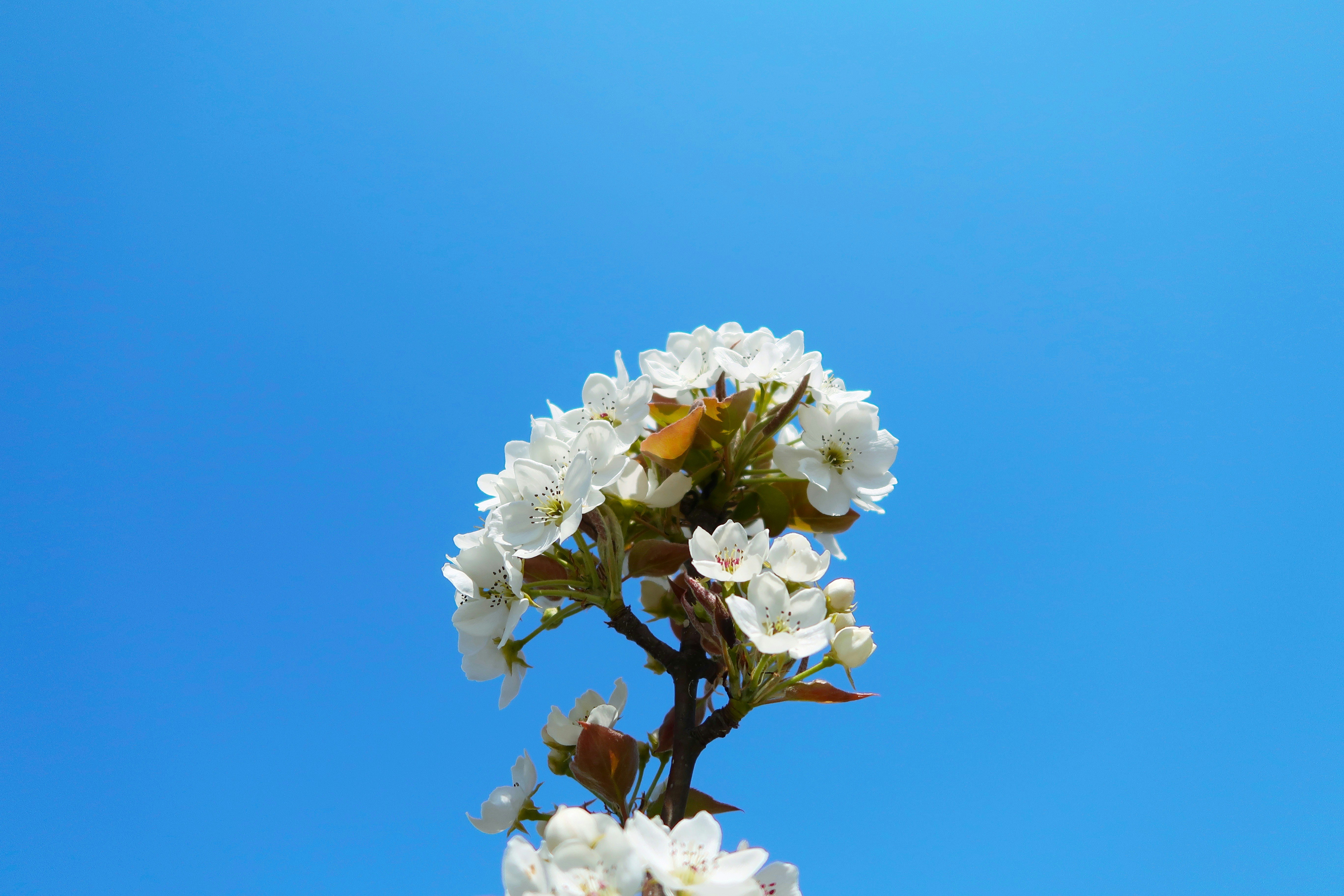 Photo by idontneedacameratocaptureit