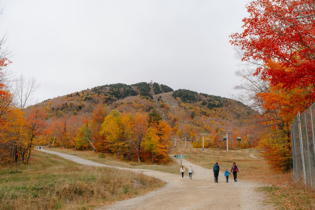 People walking on path towards mountain with autumn foliage