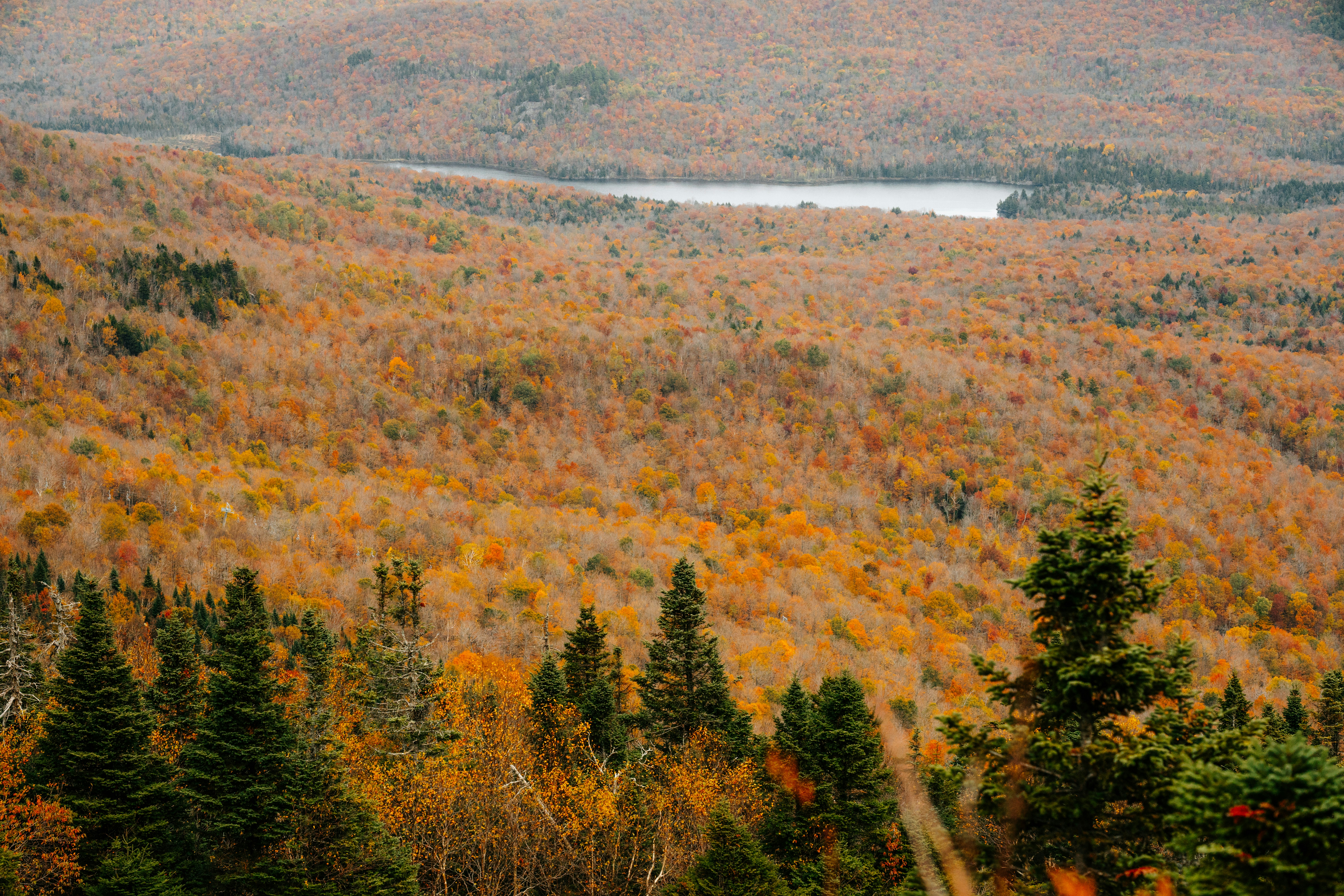 Autumn forest landscape with a distant lake