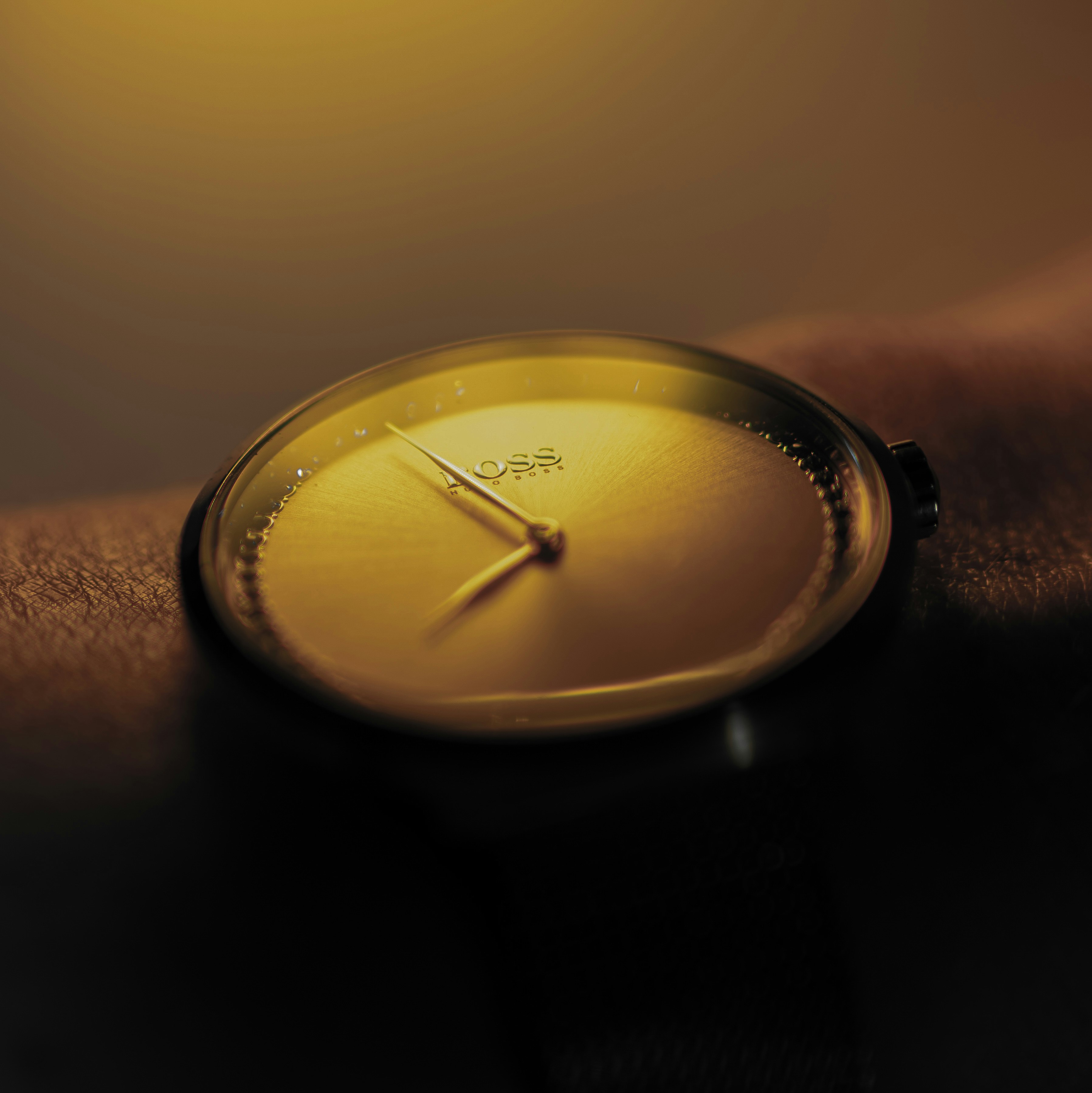 Photo by luanfonsecavisuals