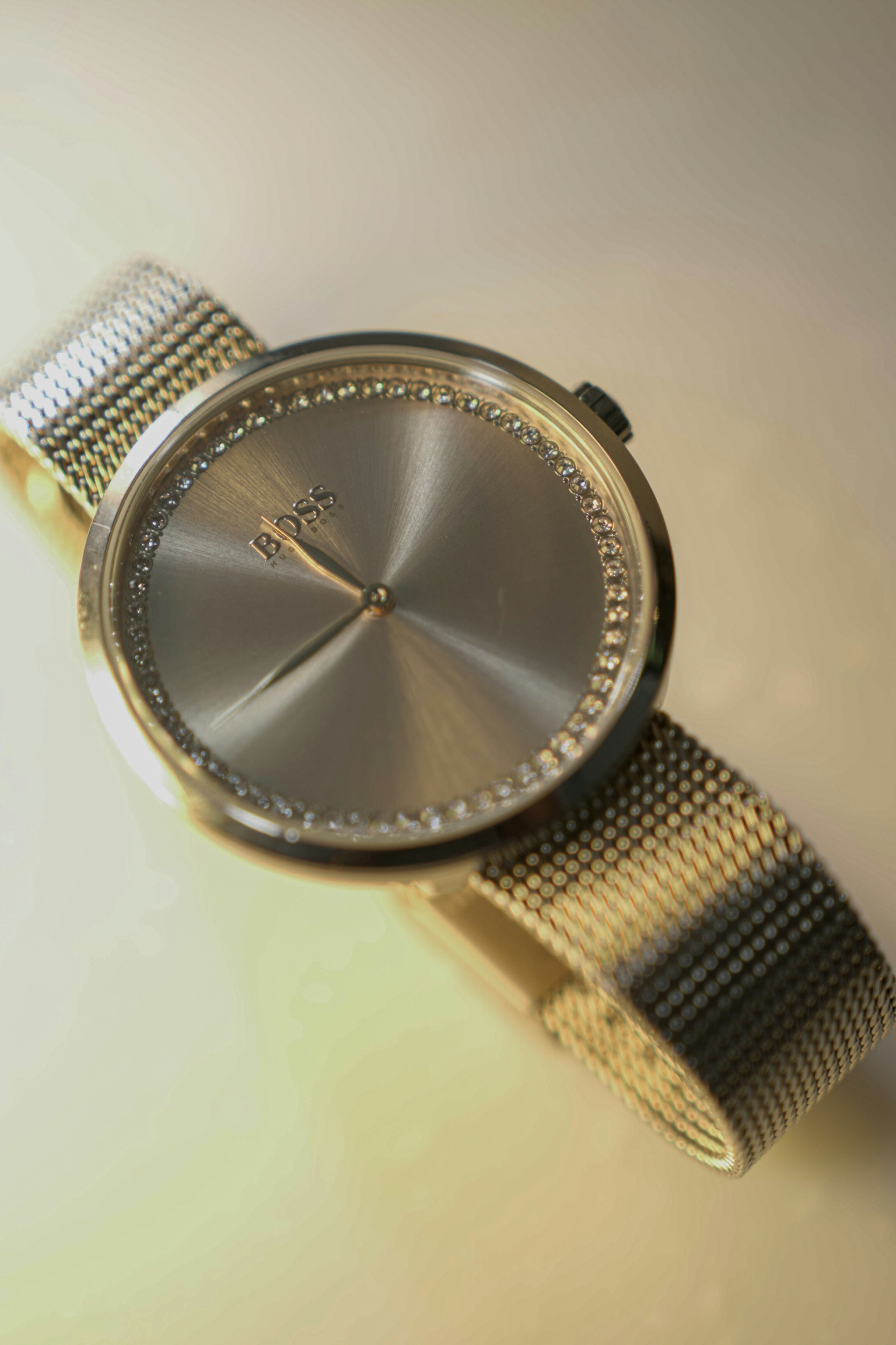 Photo by luanfonsecavisuals