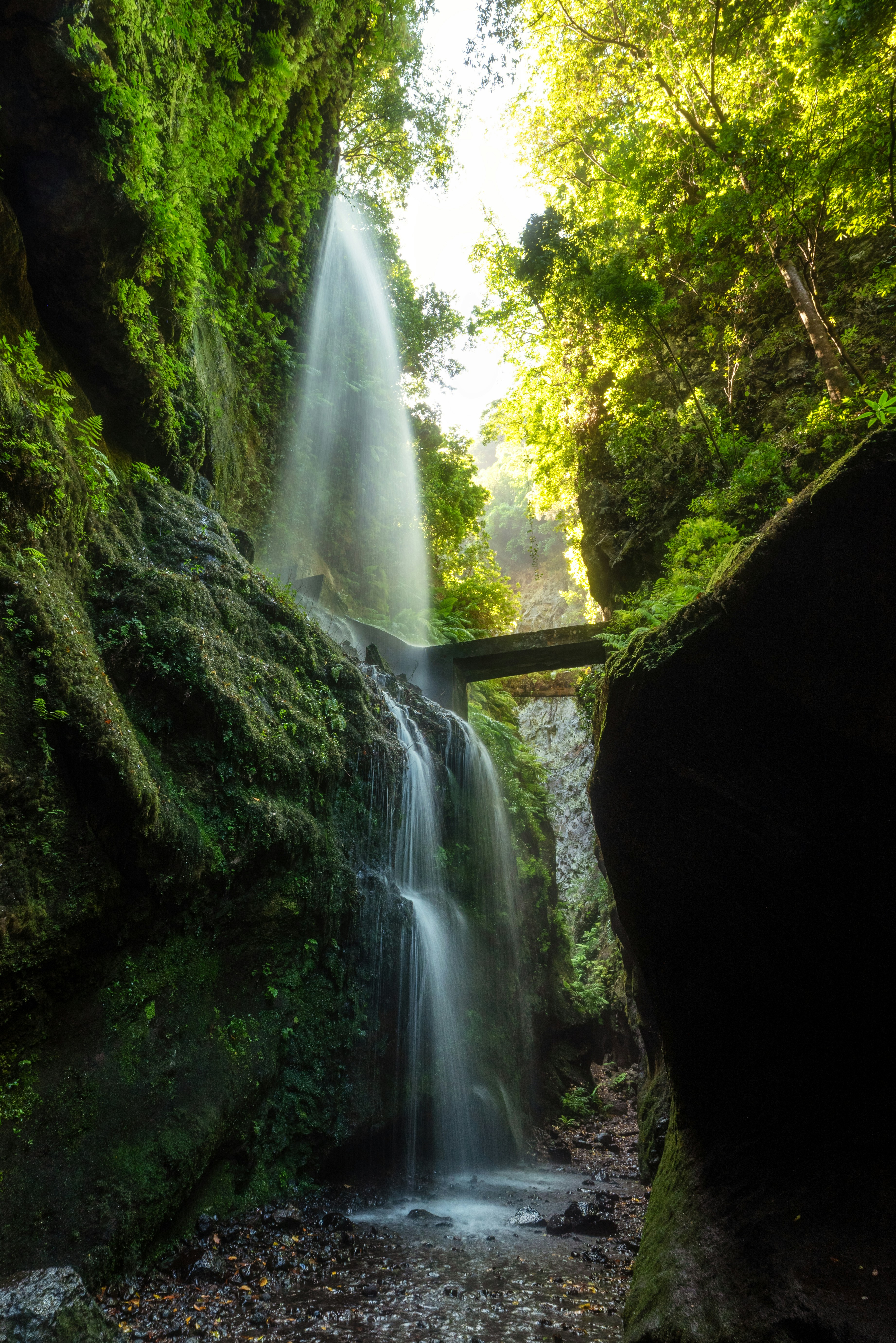 Speeding up Game Sentence Miner (GSM) Statistics by 200%