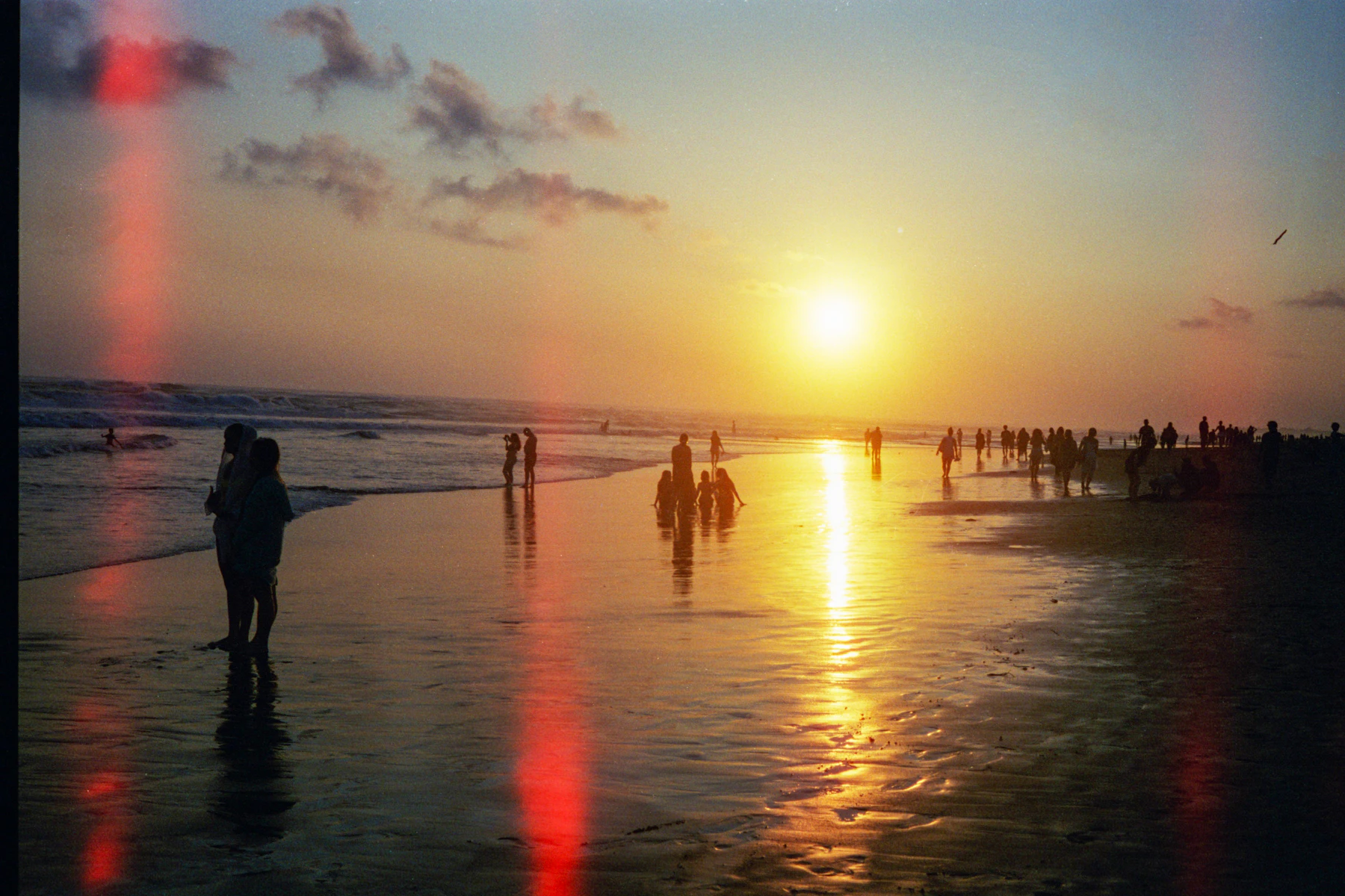 夕日に染まる海辺を歩く人々、フィルム写真
