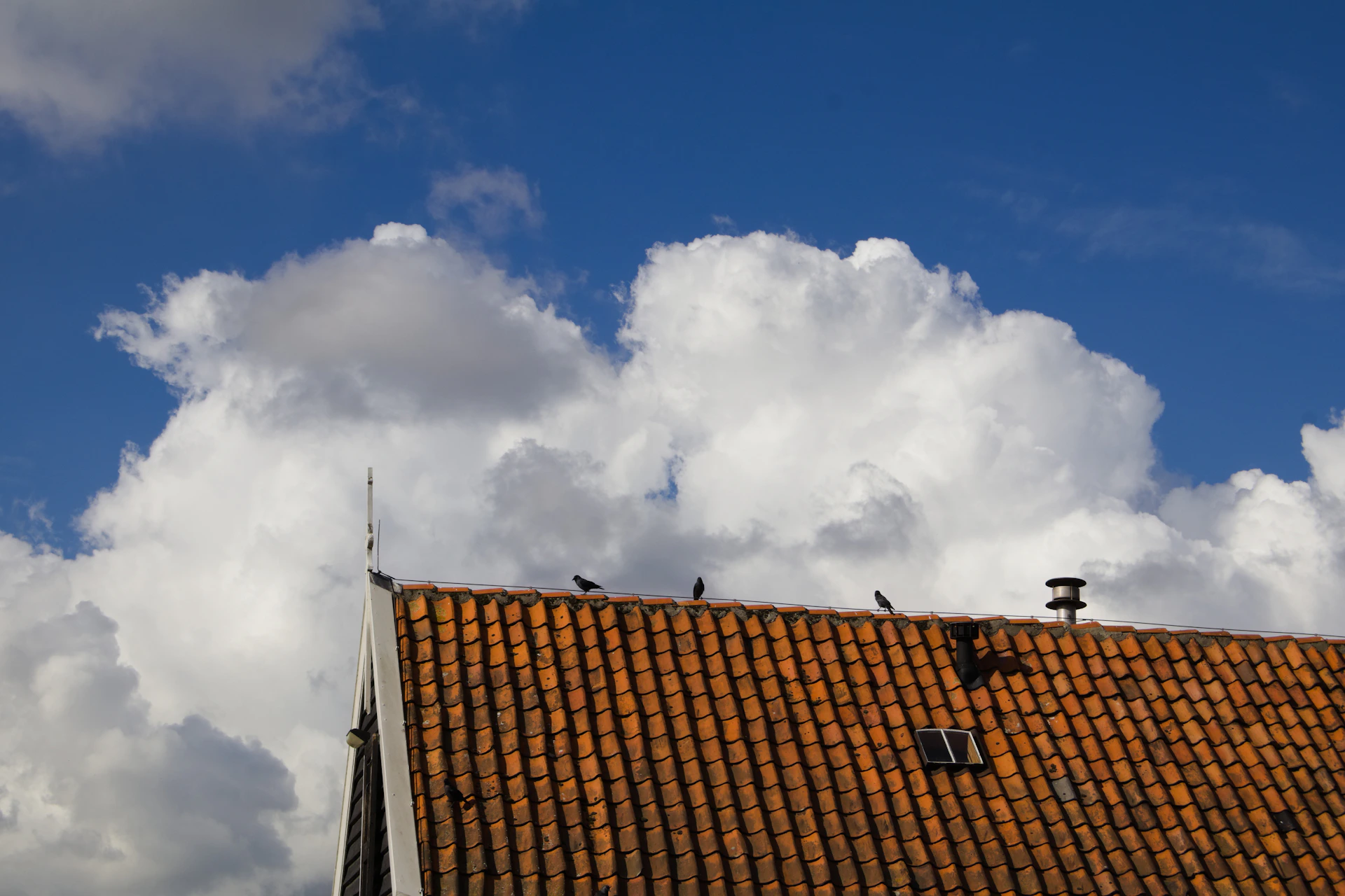 Birds perched on a tiled roof under clouds