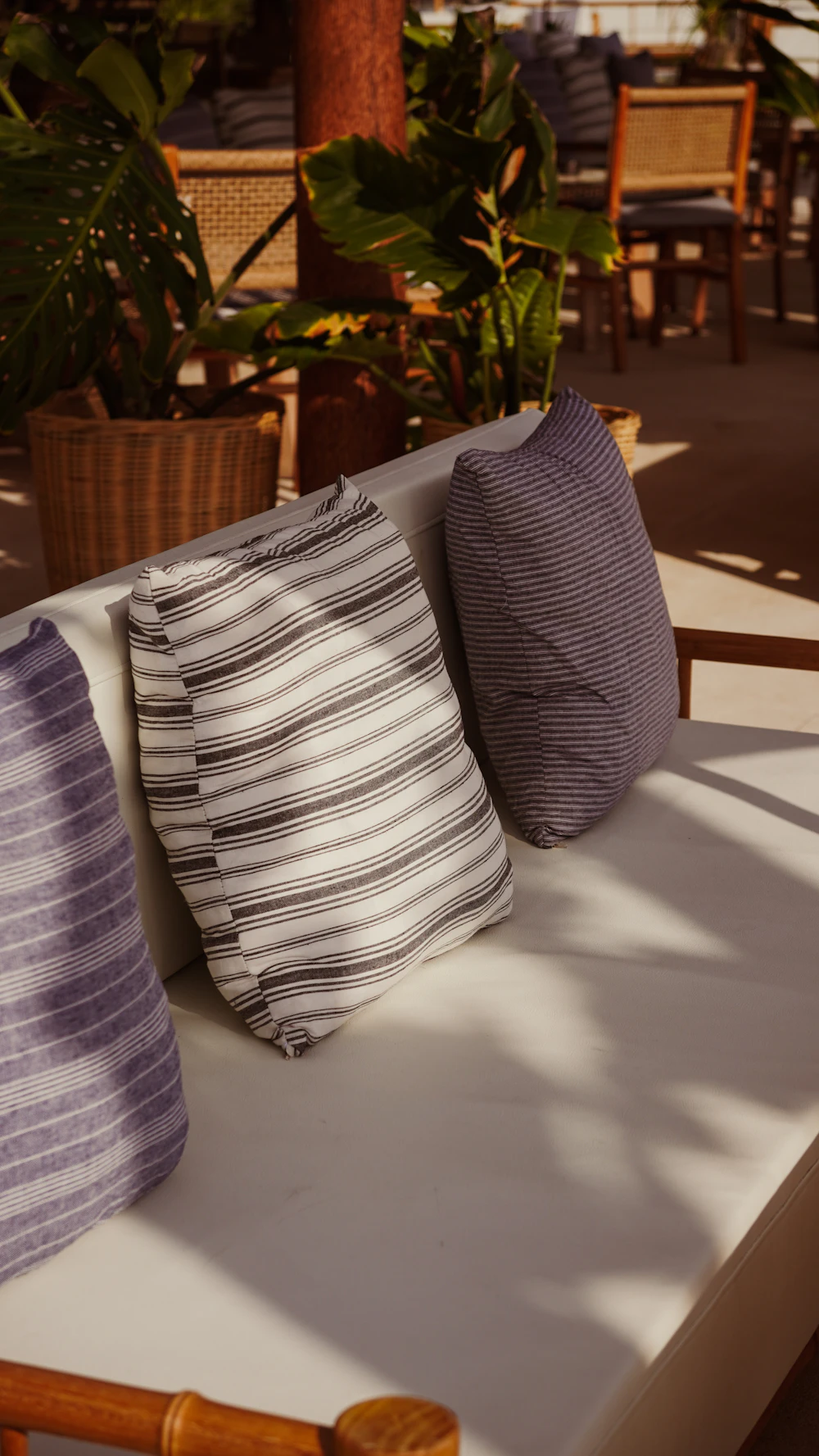 Outdoor inspiration 5