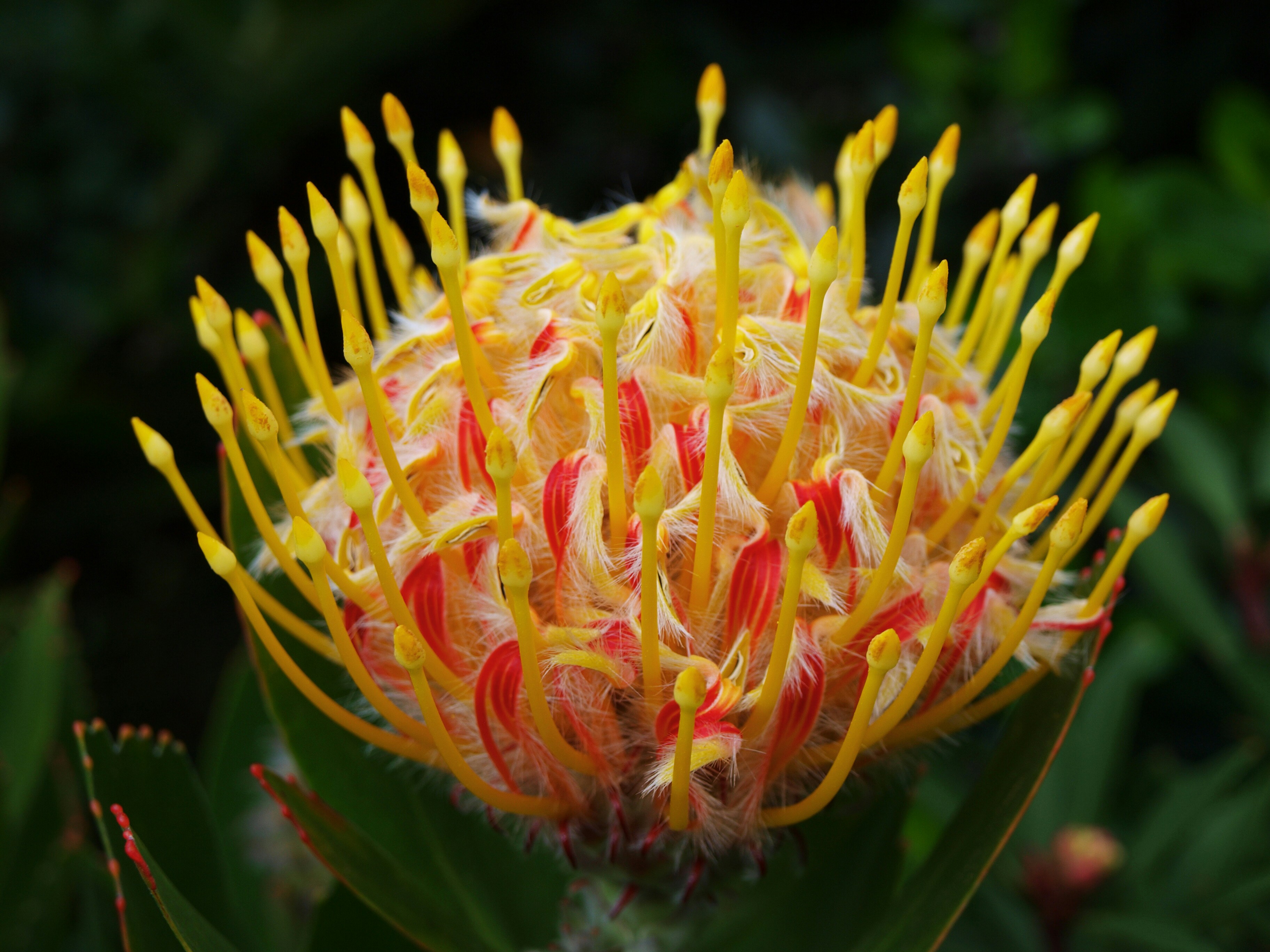 Photo by lutruwita_exposure