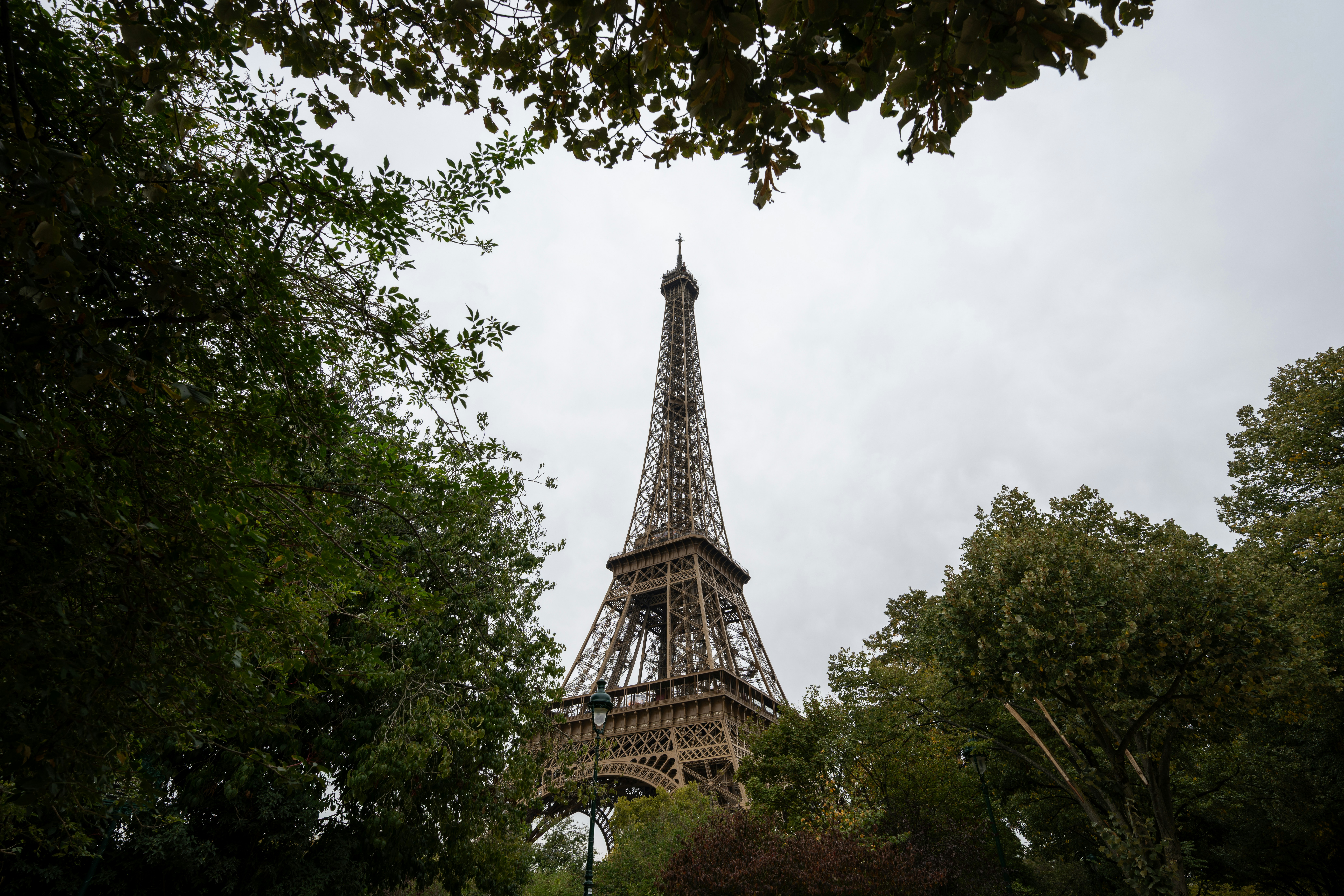 La torre Eiffel vista a través de frondosos árboles verdes.