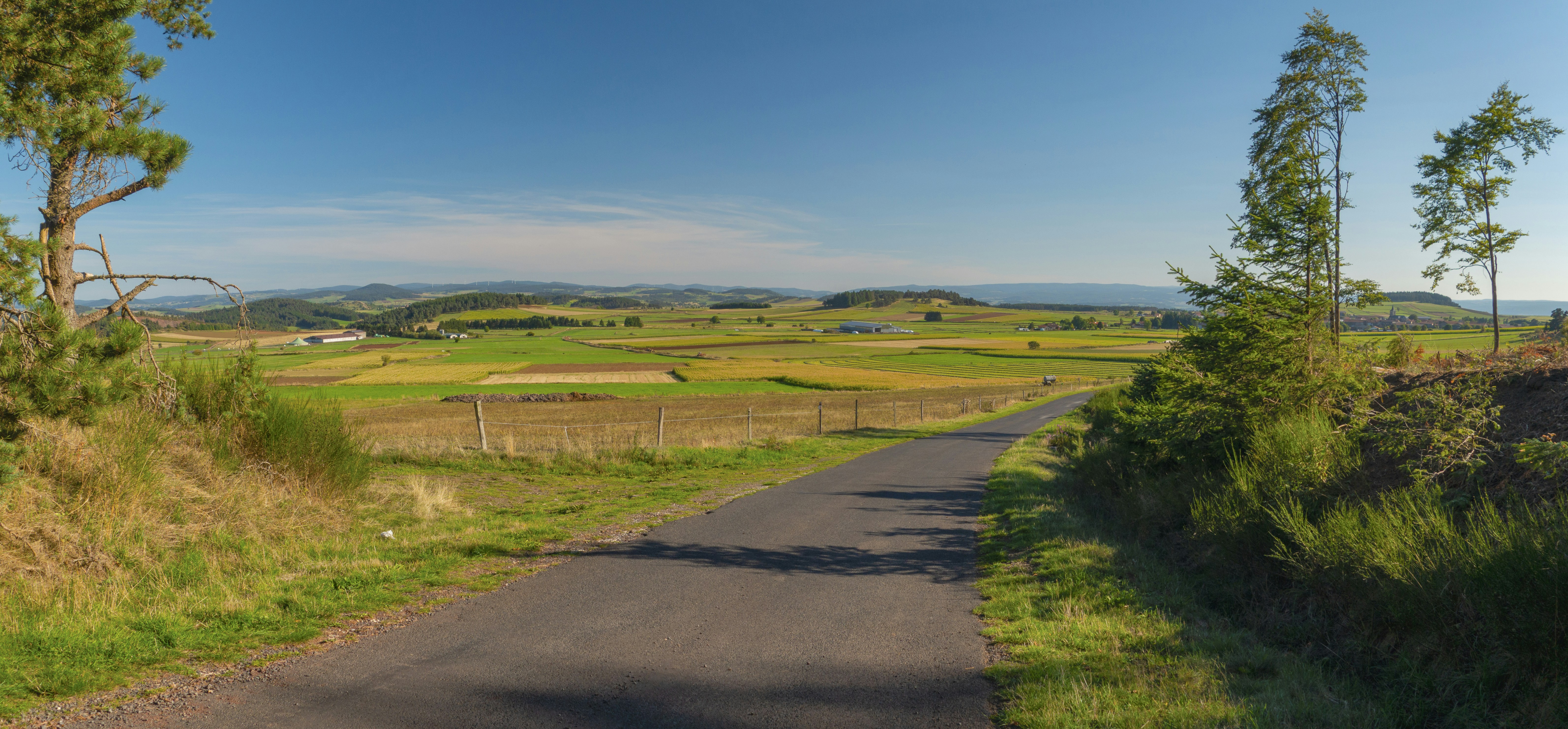 Rural road leads through green fields under blue sky
