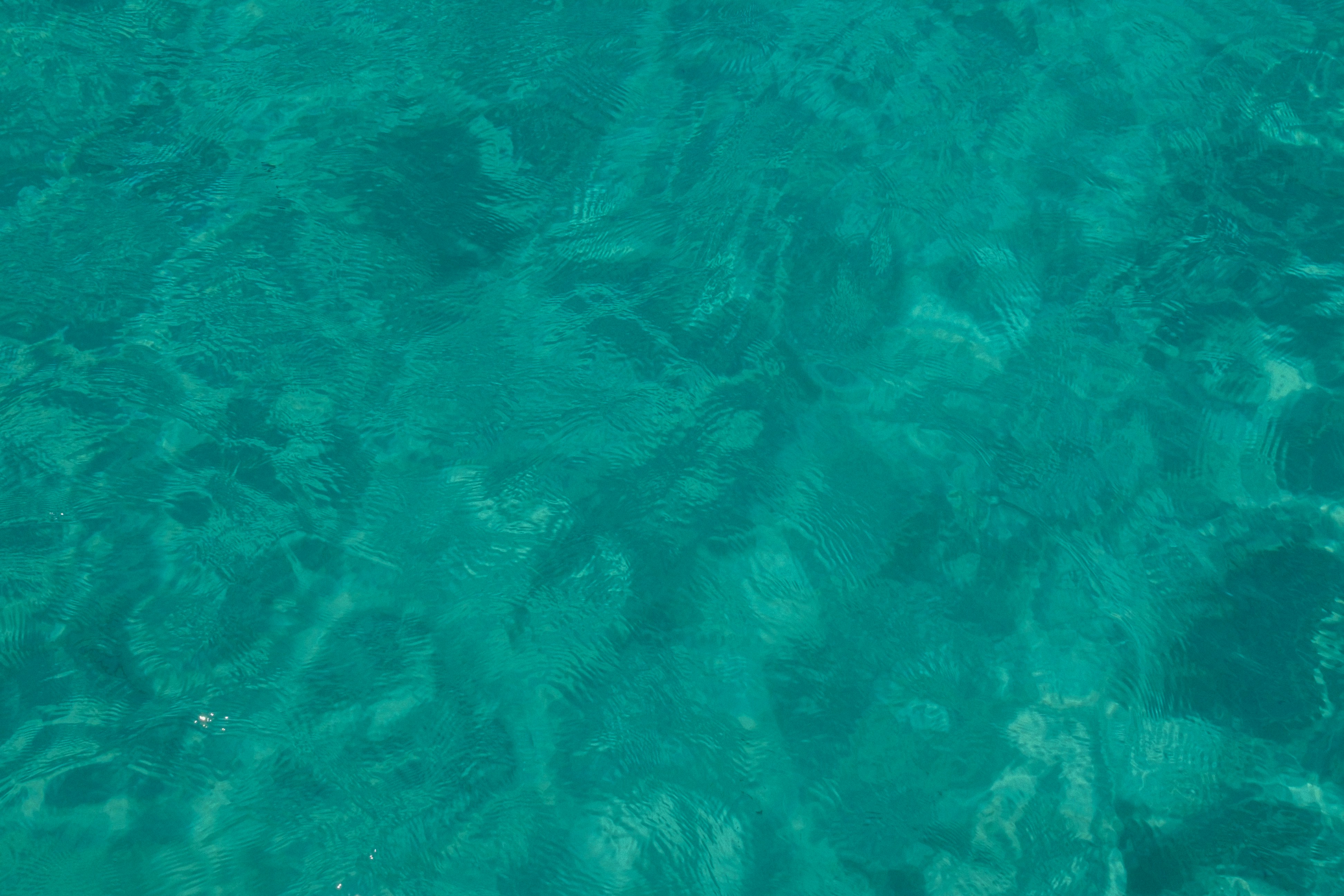 Photo by limamauro23