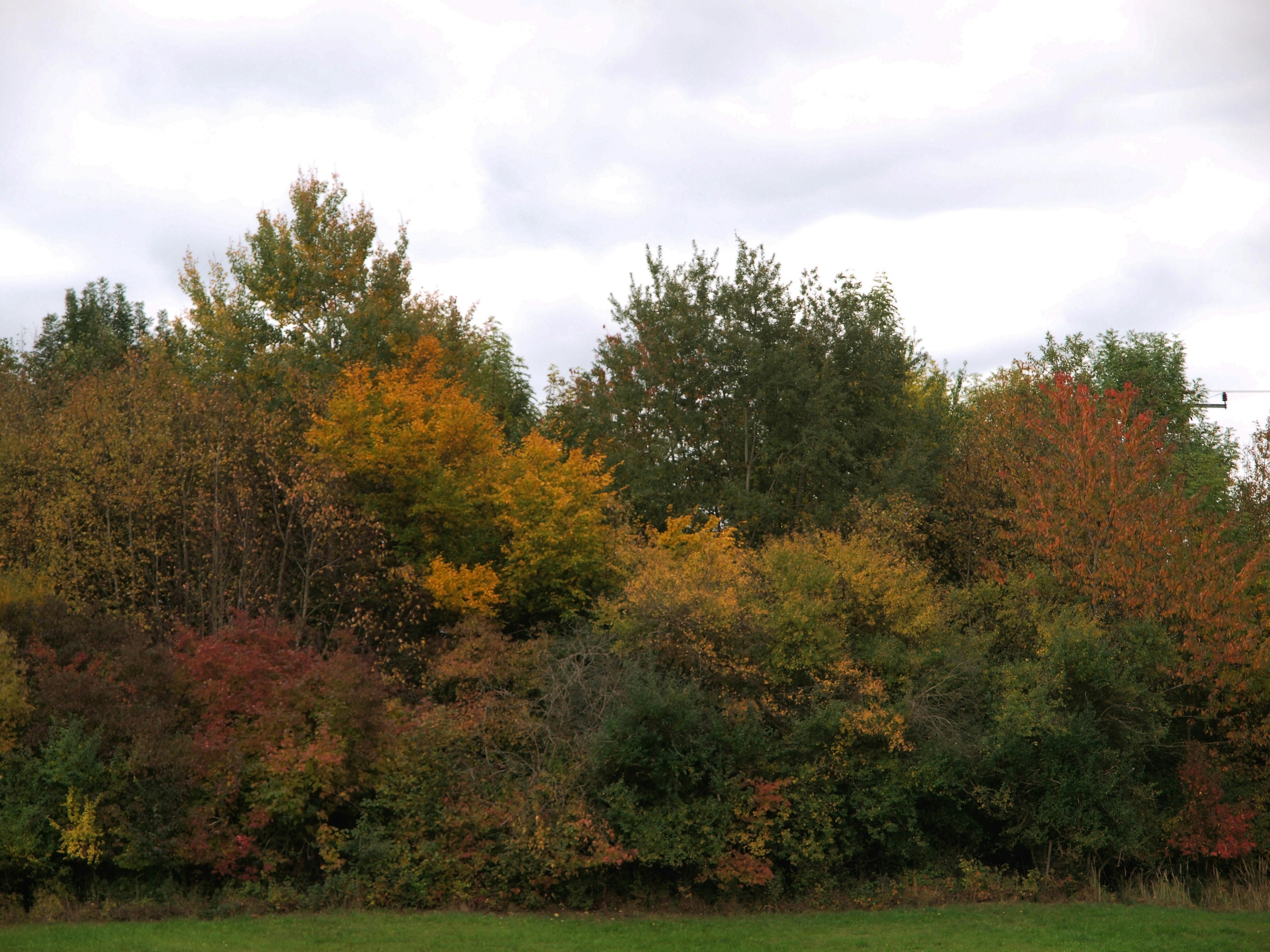 Photo by myworldisblue