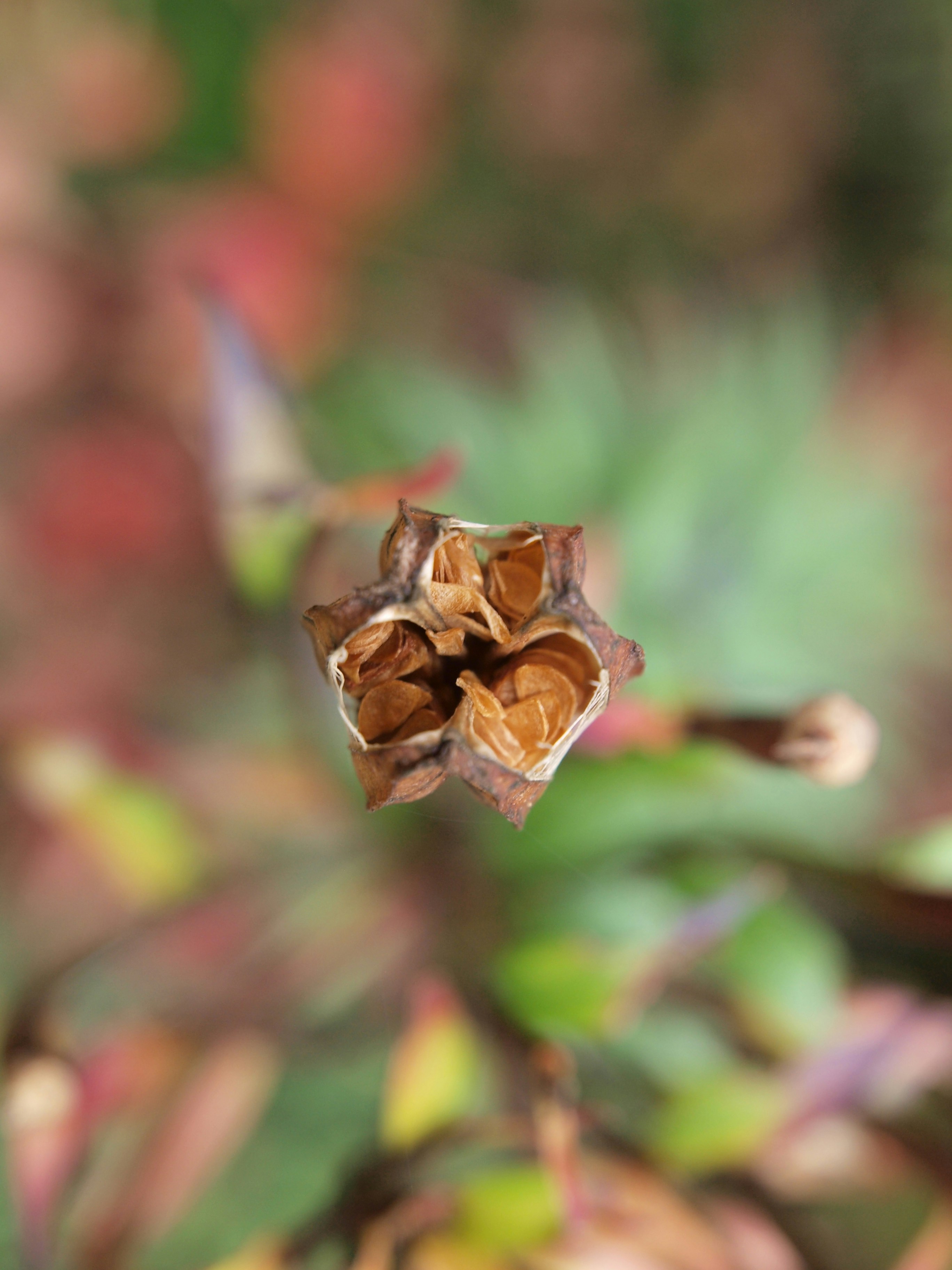 Photo by myworldisblue