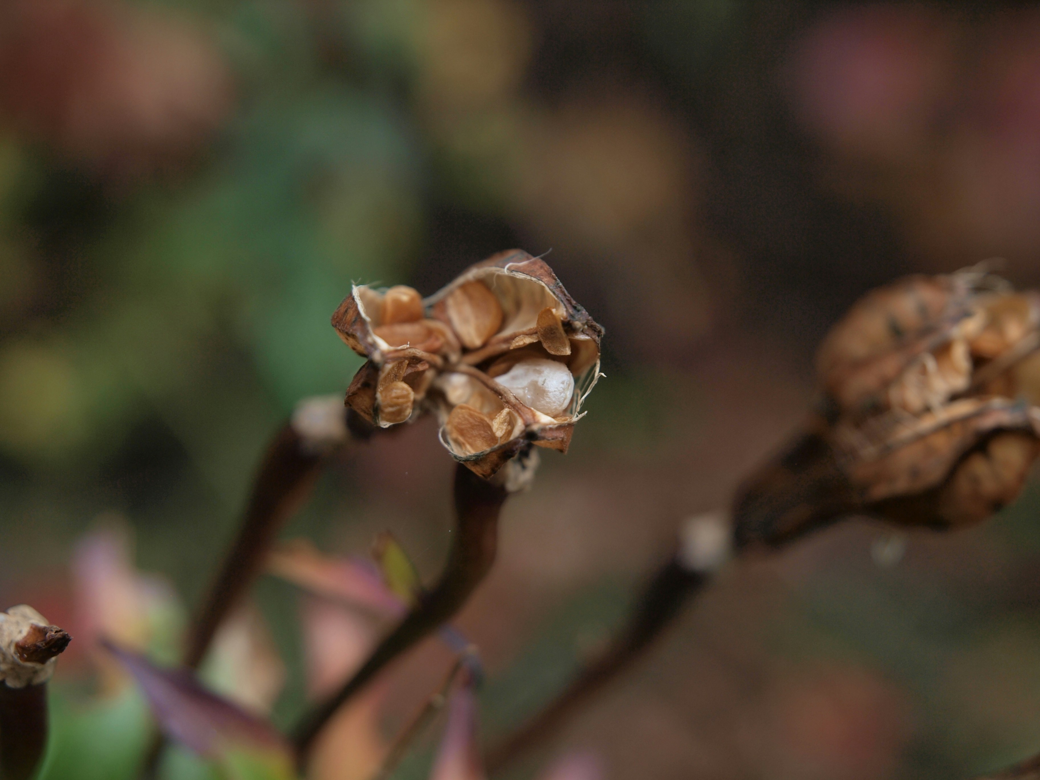 Photo by myworldisblue