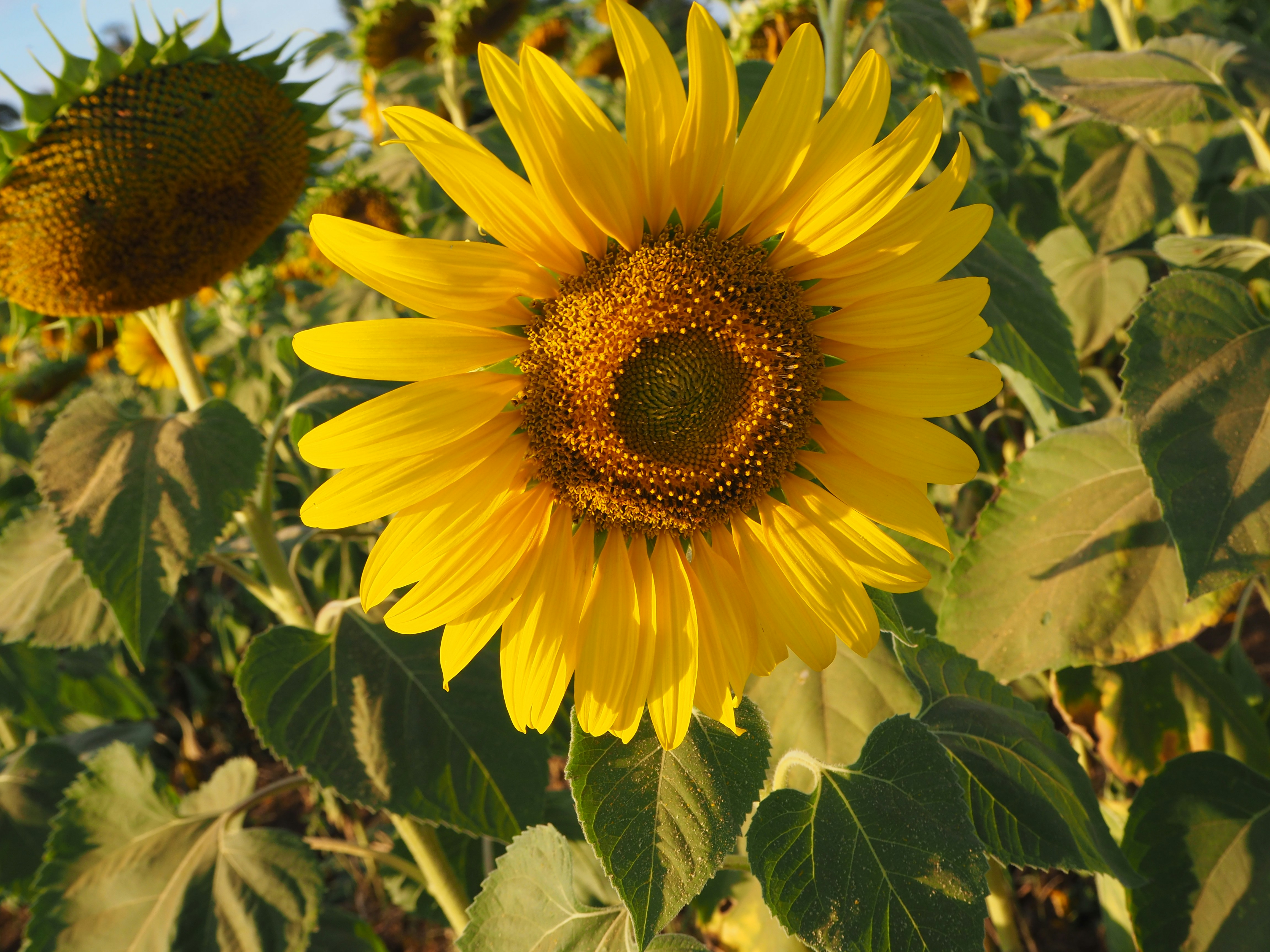 Photo by eugene_6666