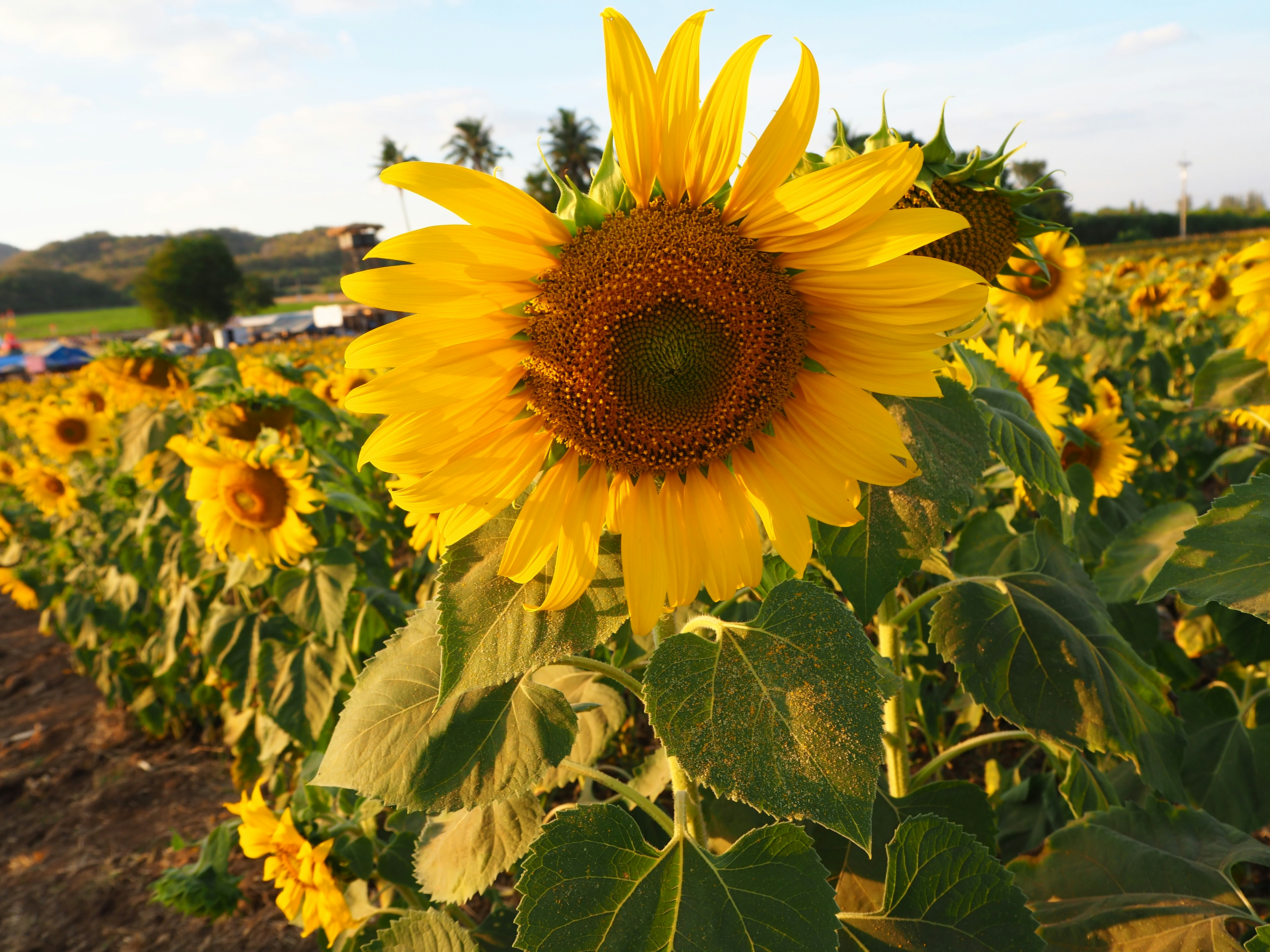 Photo by eugene_6666