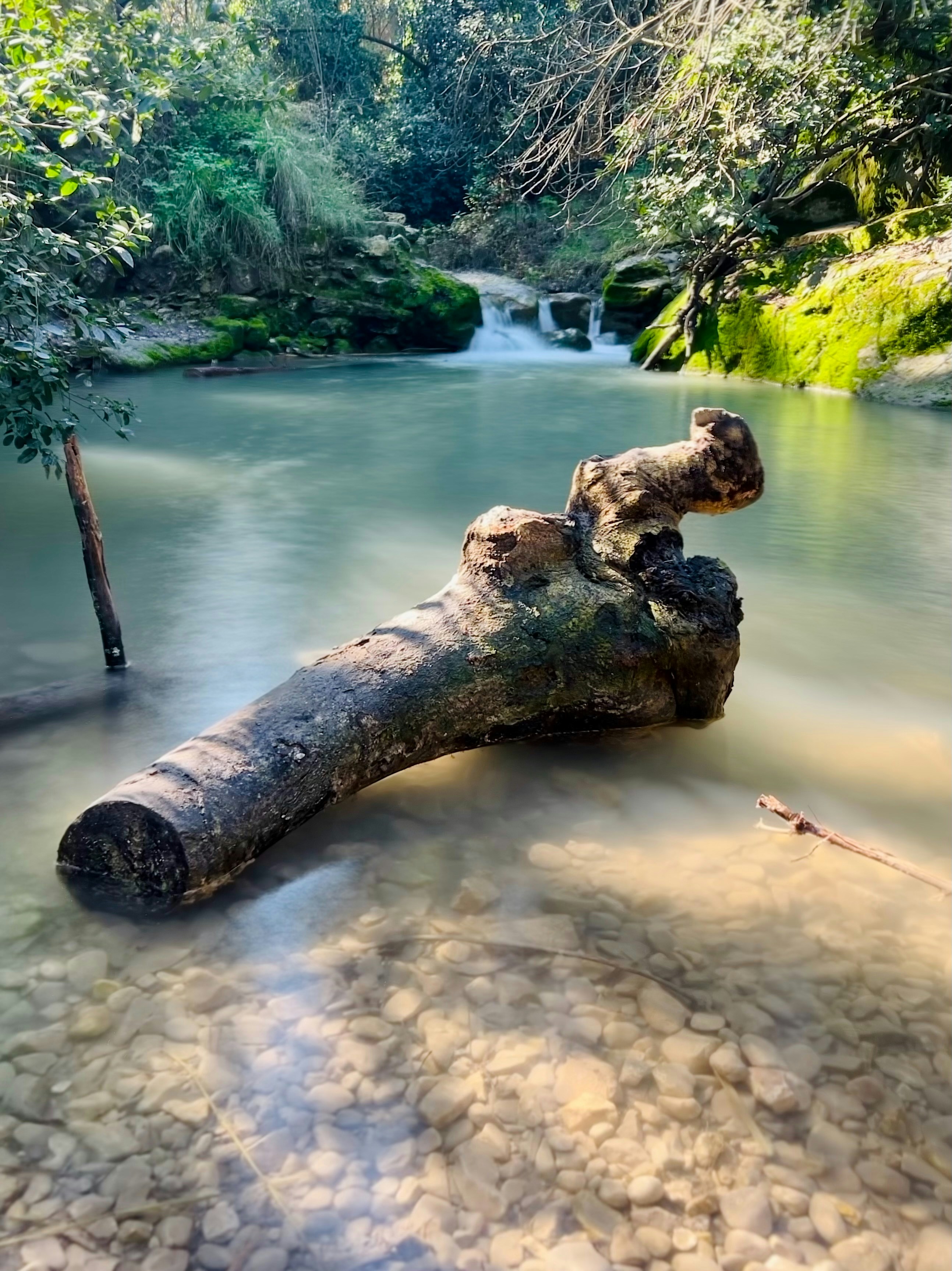A log floats in a clear river with a waterfall.