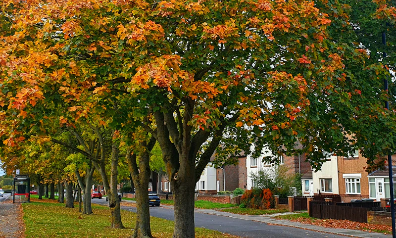 Pleasantville, NY